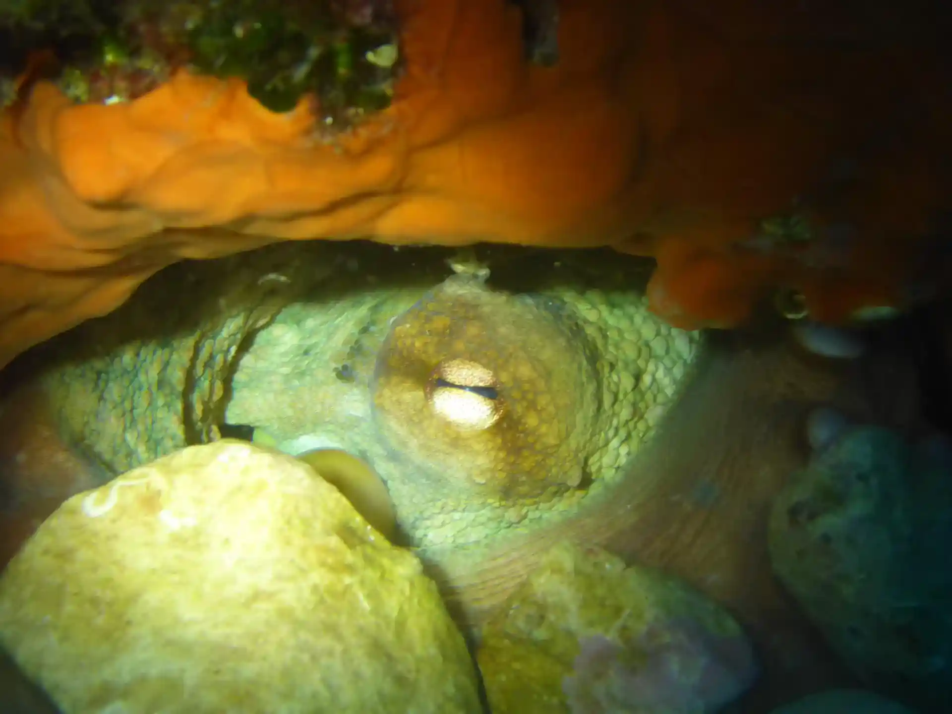Dive site photo