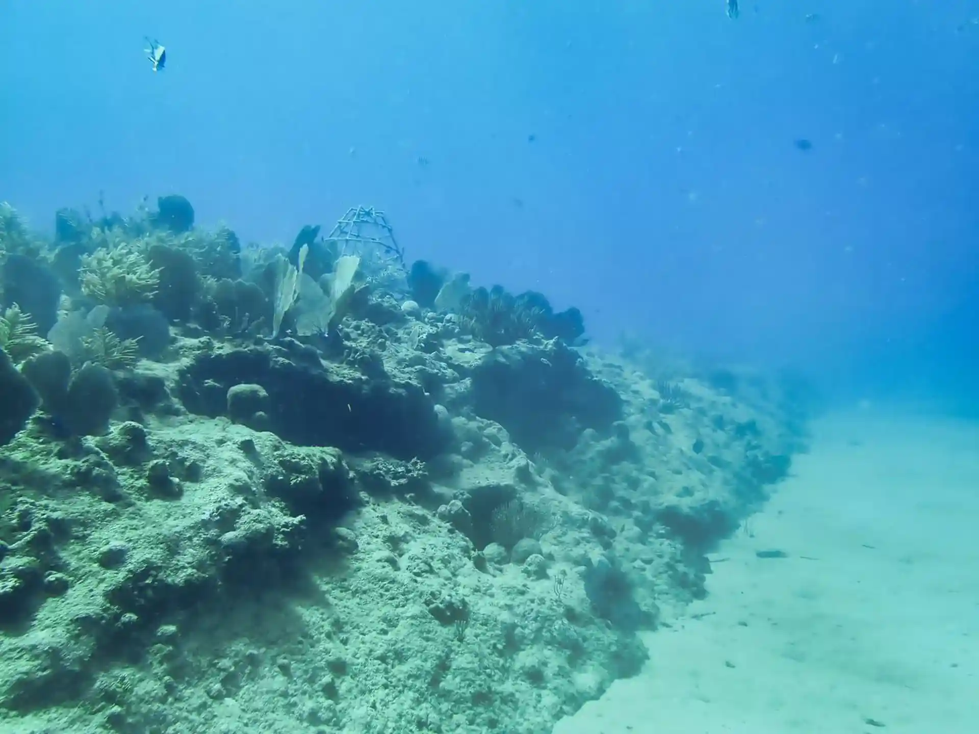 Dive site photo