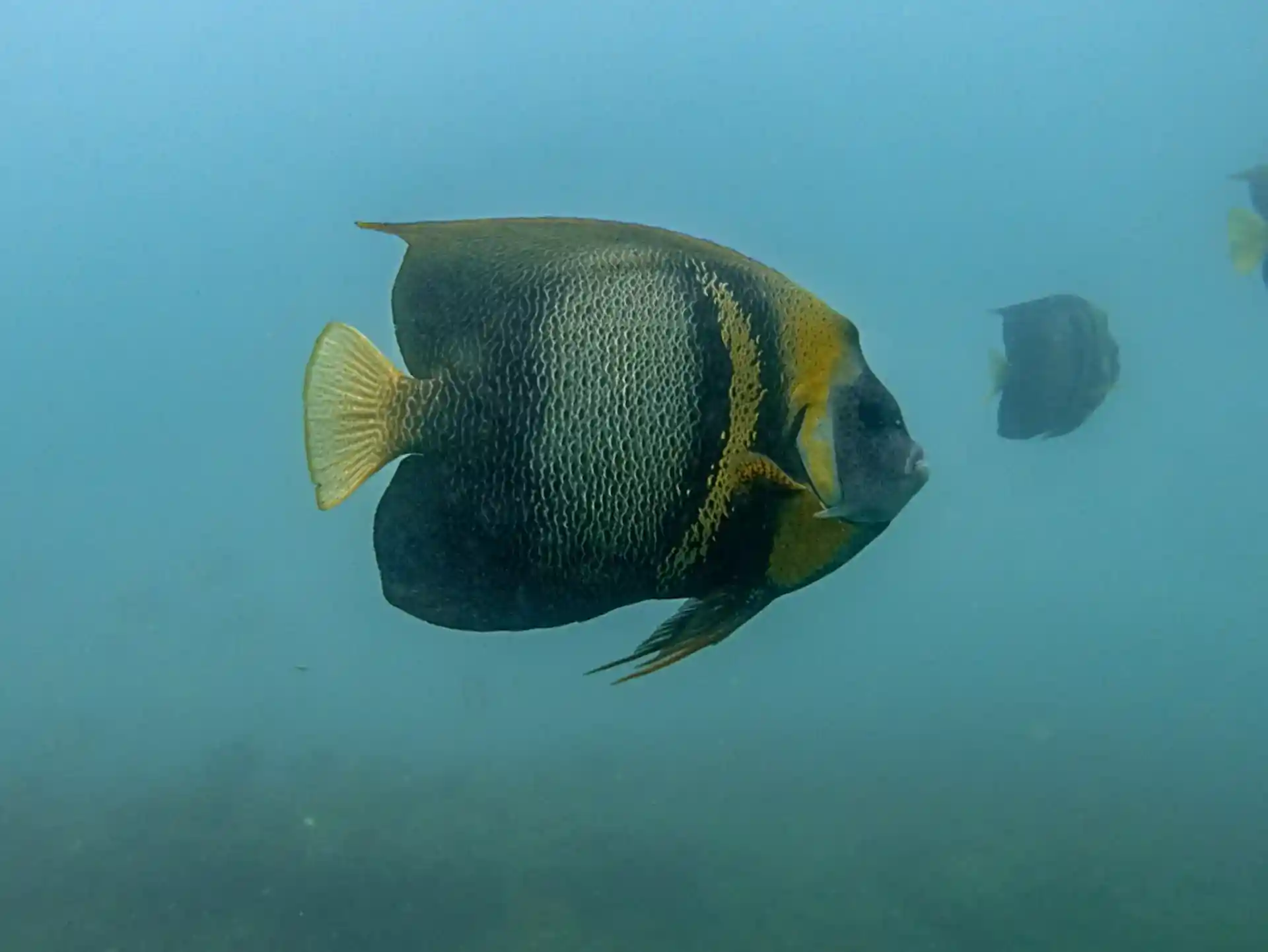 Dive site photo