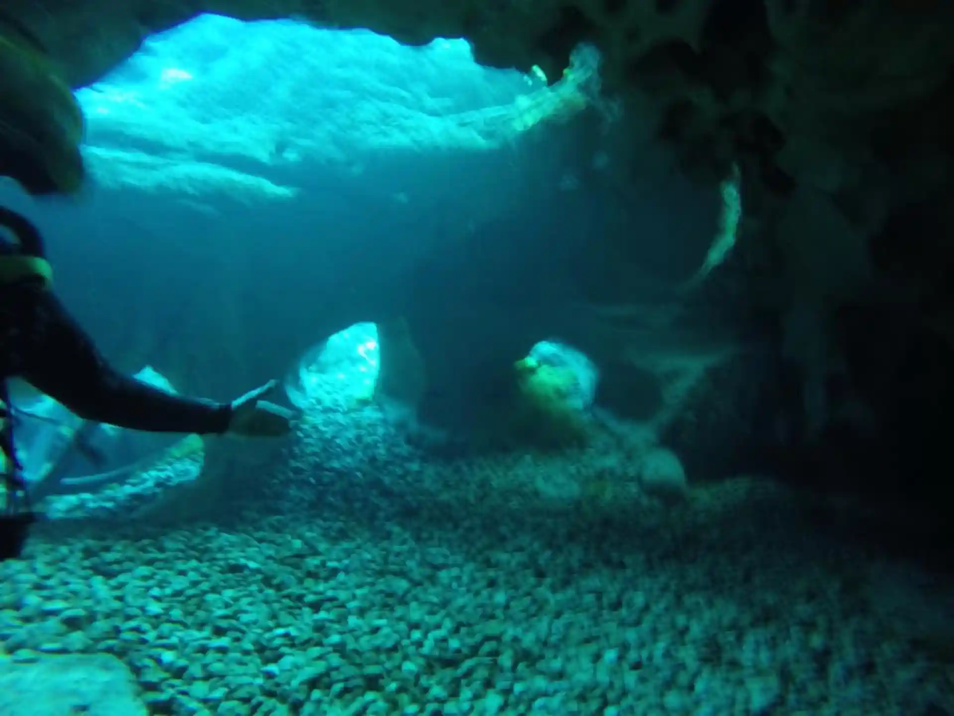 Foto del sitio de buceo