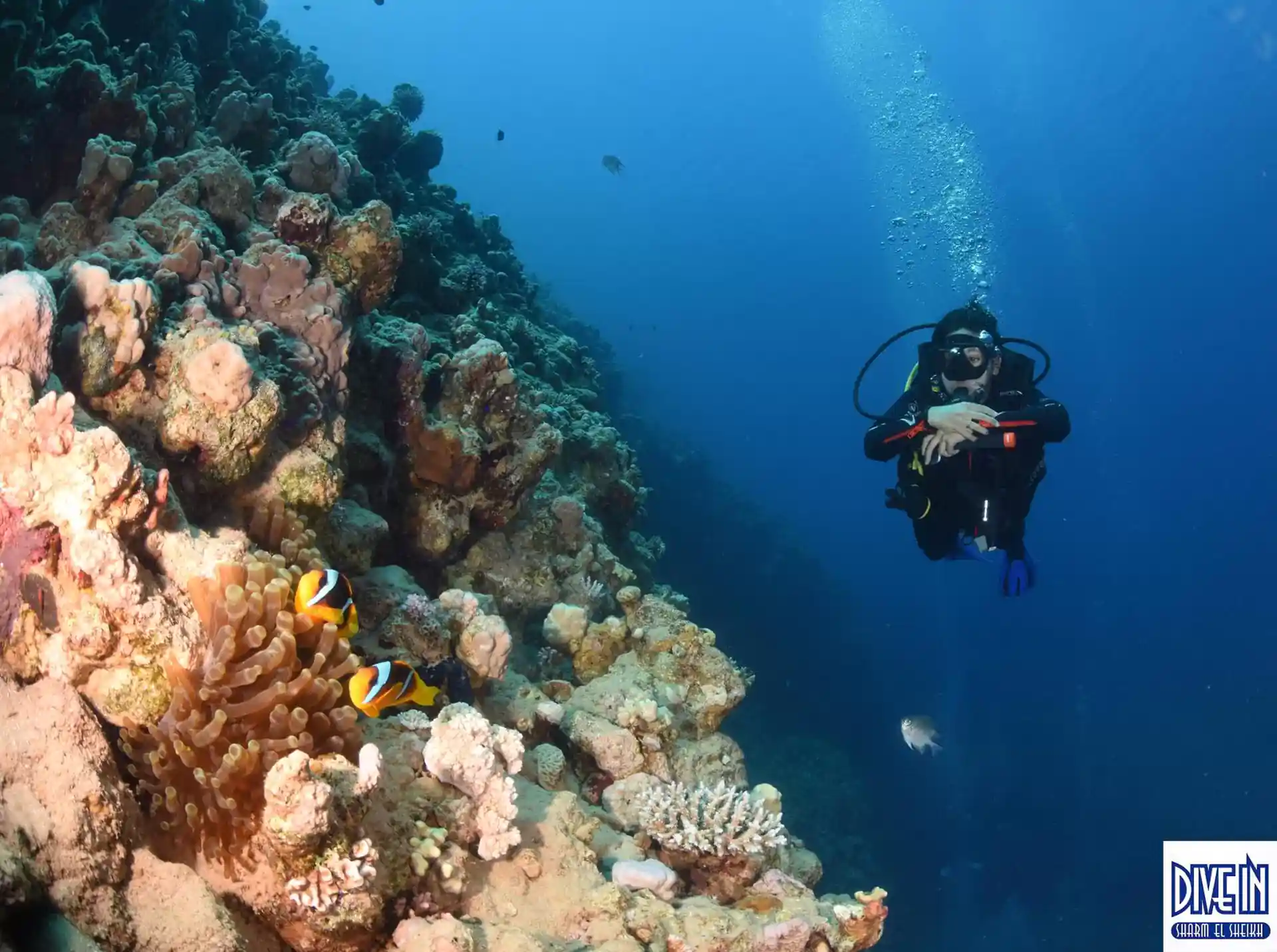 Photo de l'activité