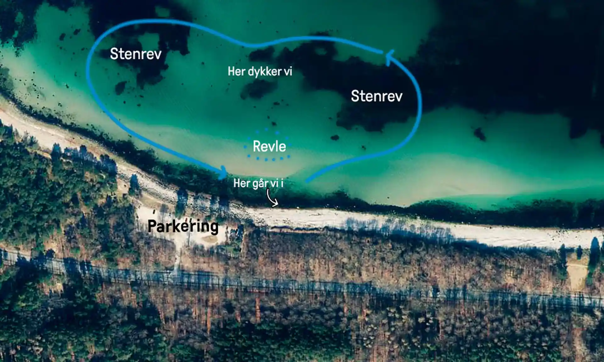 Dive site photo