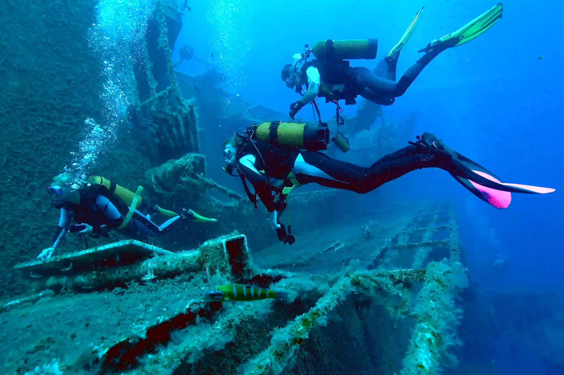 Dive 1 on the Zenobia