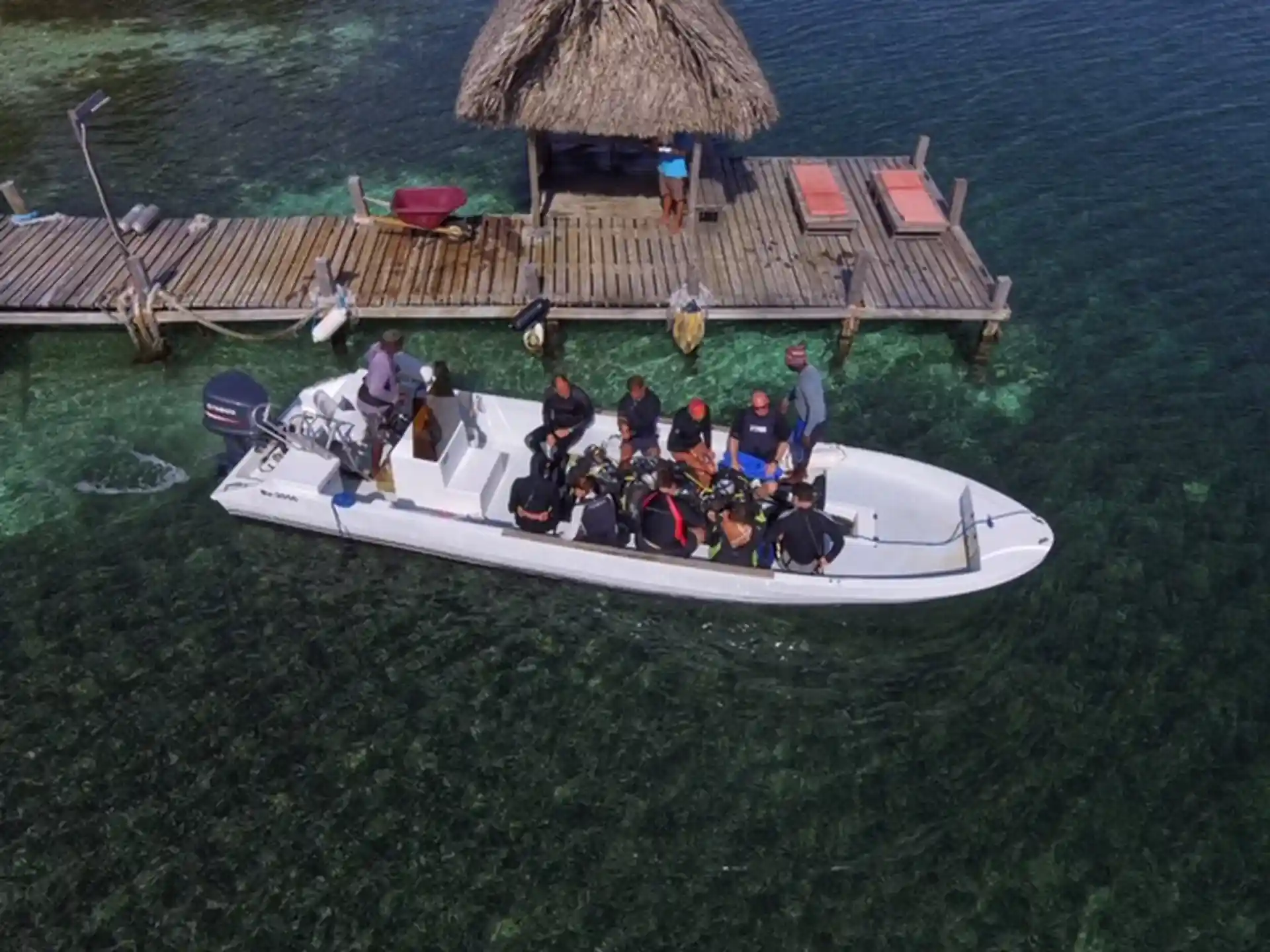 Dive shop photo