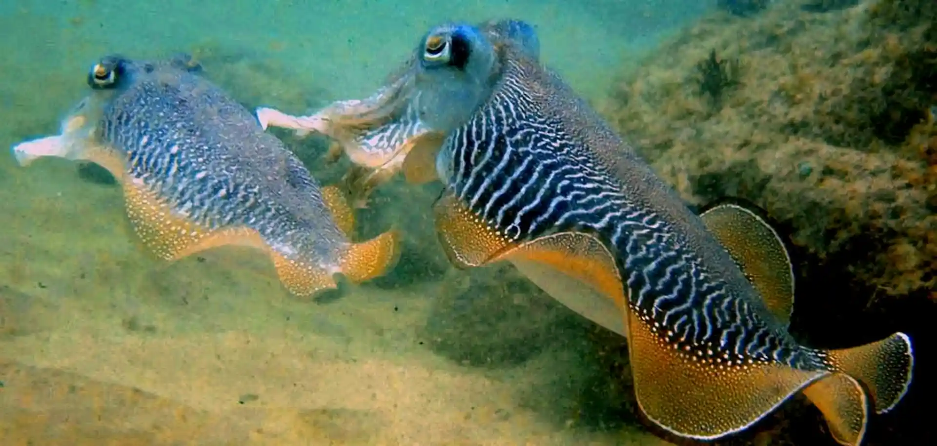 Dive site photo