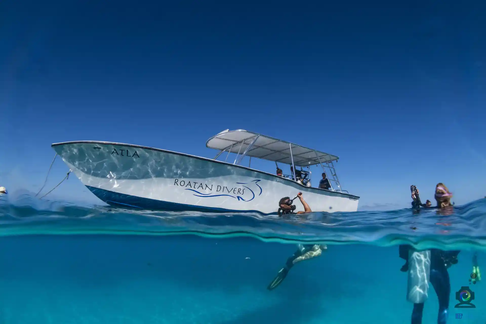 Best boats in the island
