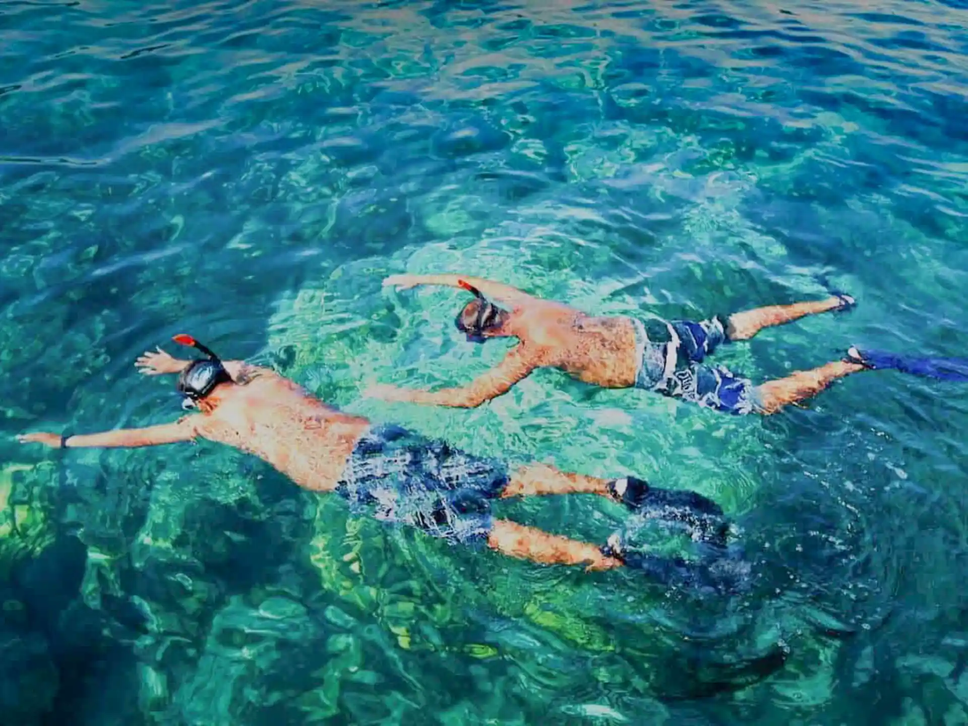 Snorkelling locations away from the crowds