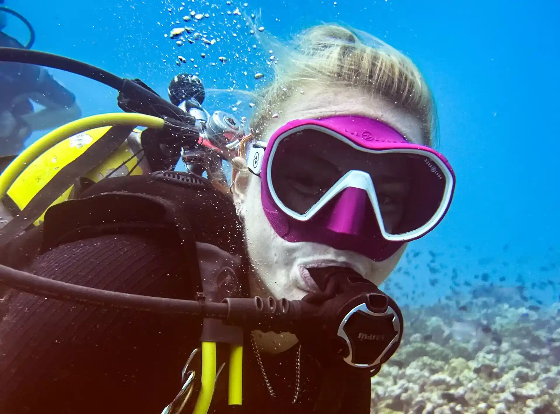 Because your next dive should feel as good as your first — ReActivate.