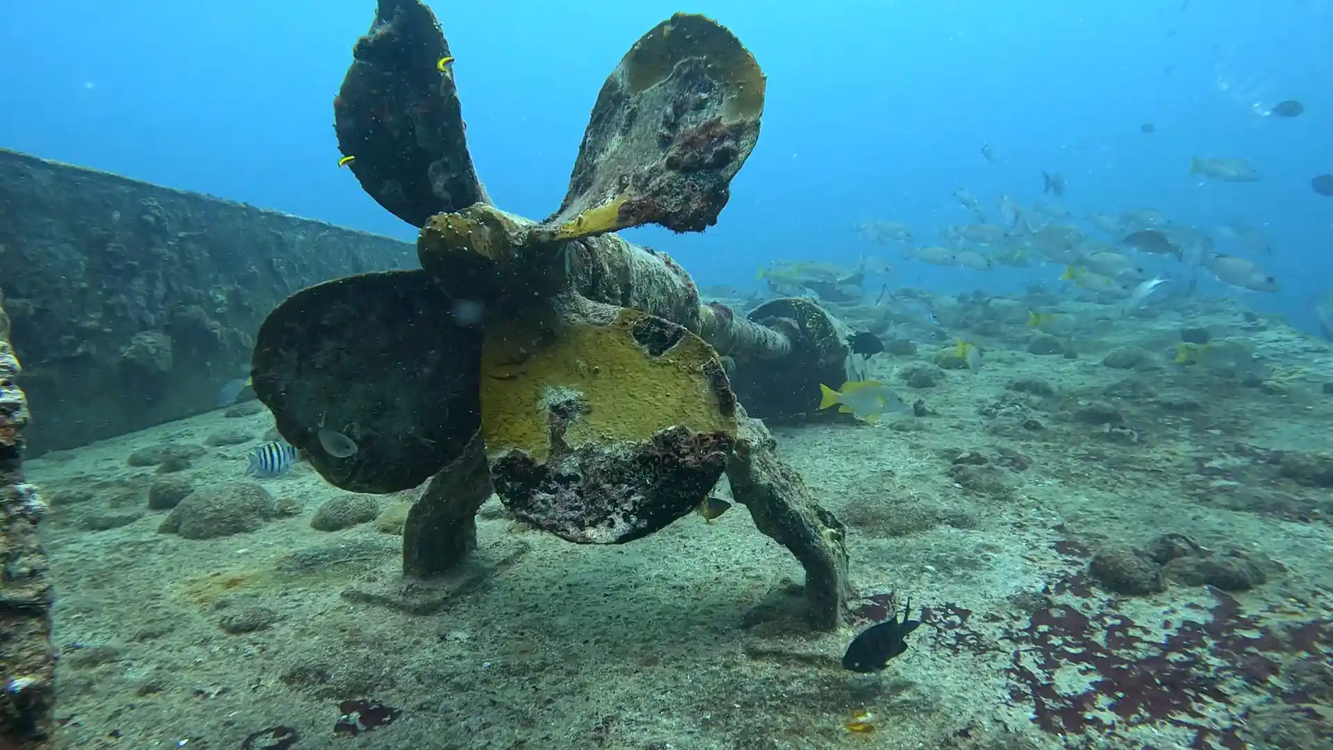Dive site photo