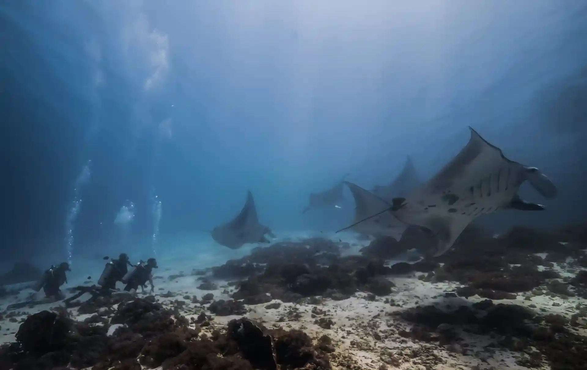 Dive site photo