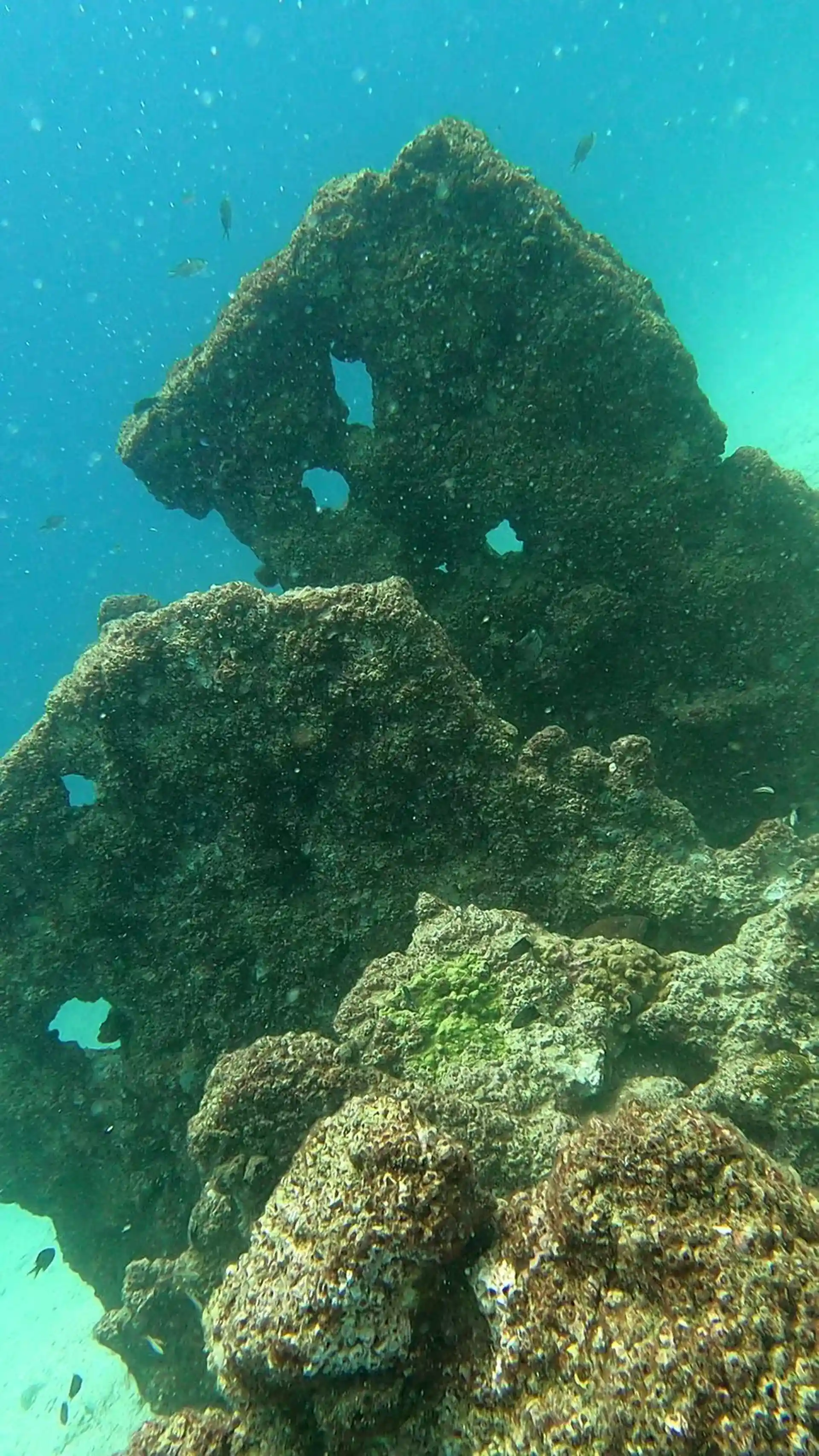 Foto des Tauchplatzes