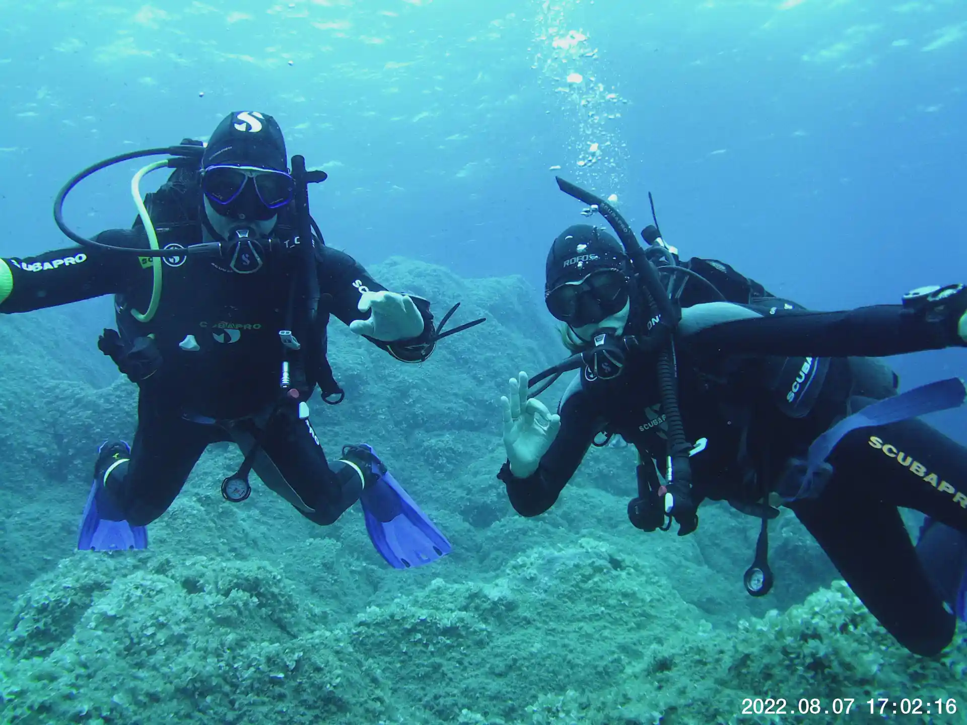 Riattiva le tue abilità sotto.