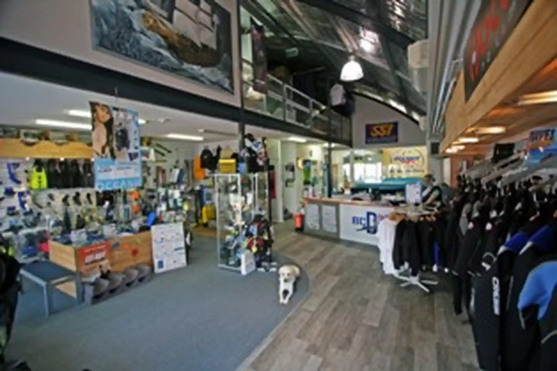 Dive shop photo