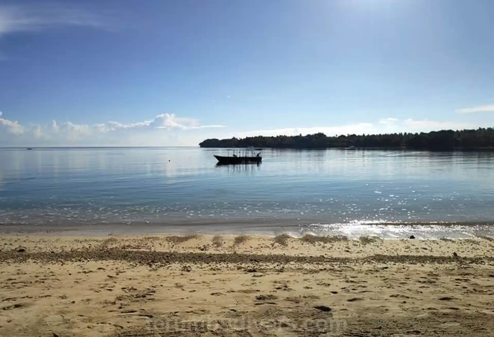 The bay