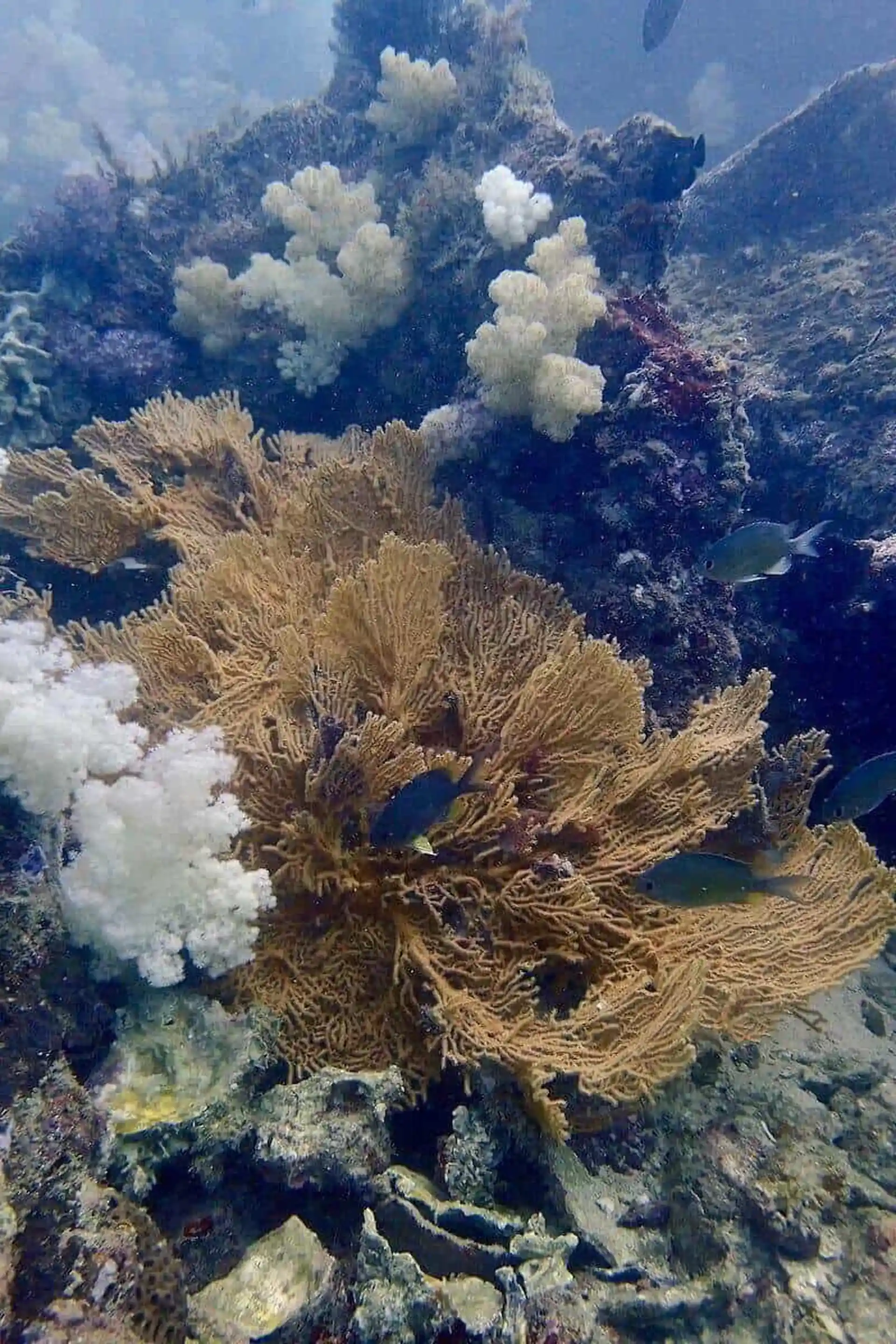 다이빙 포인트 사진