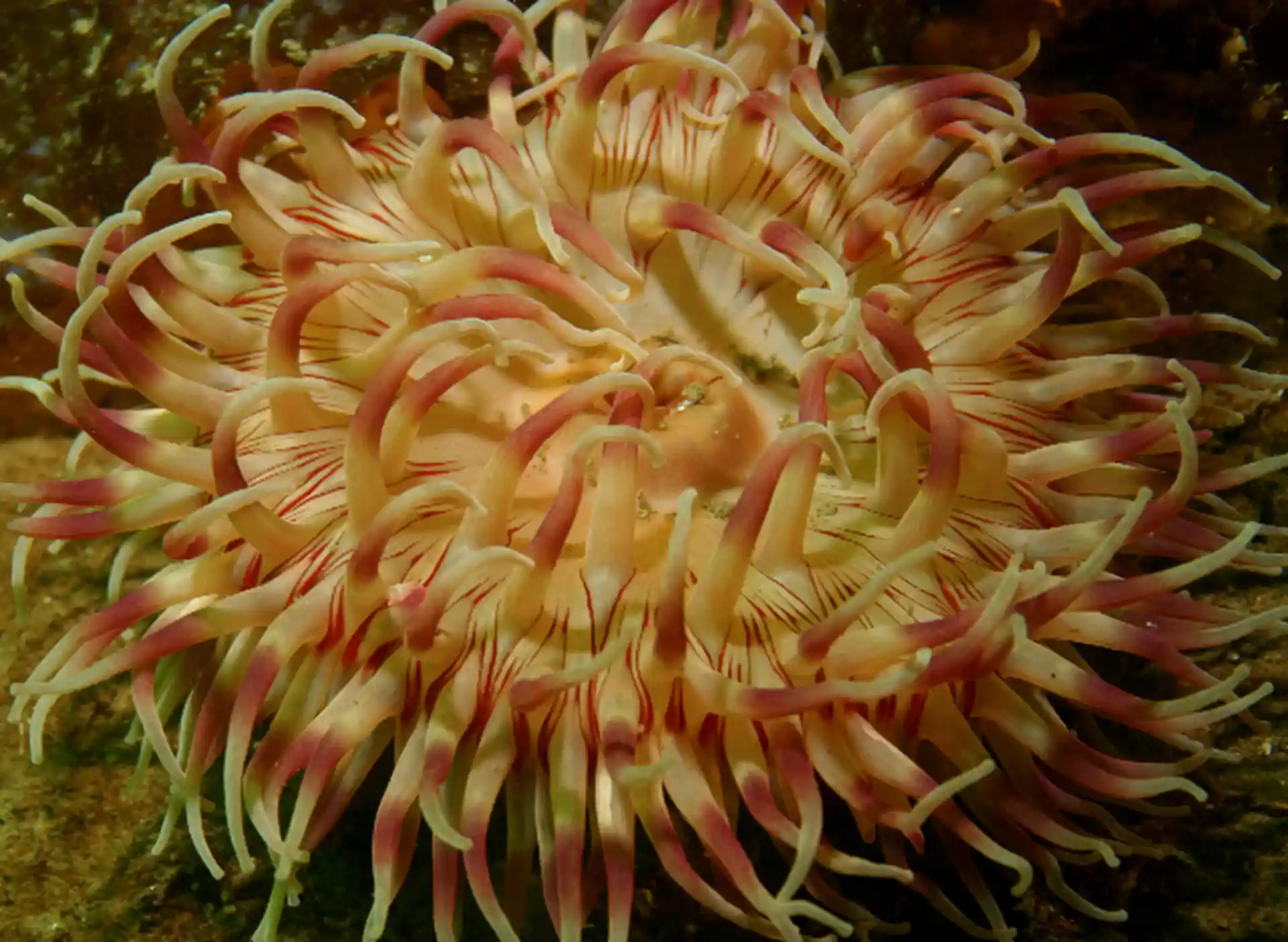 다이빙 포인트 사진