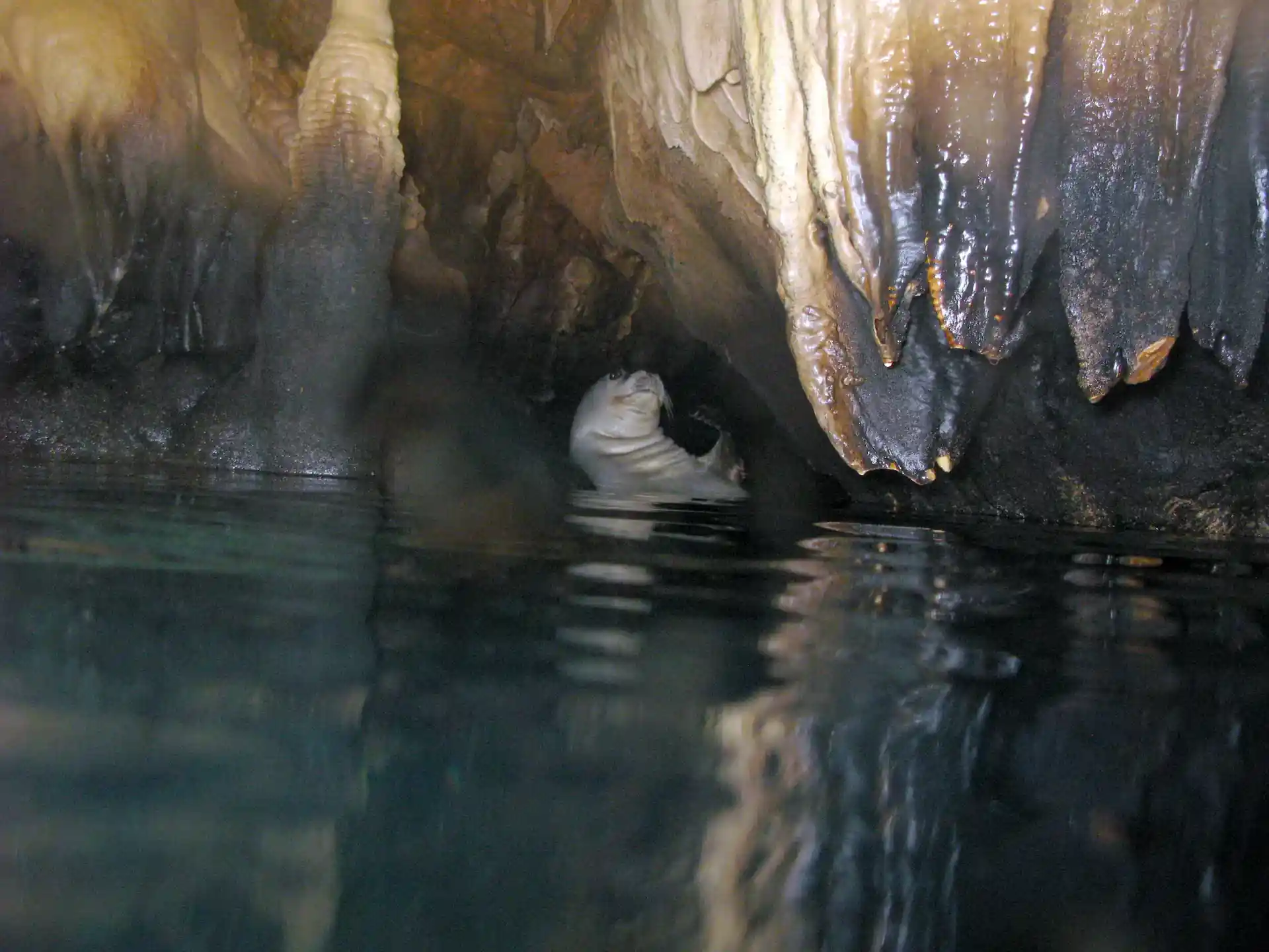 다이빙 포인트 사진