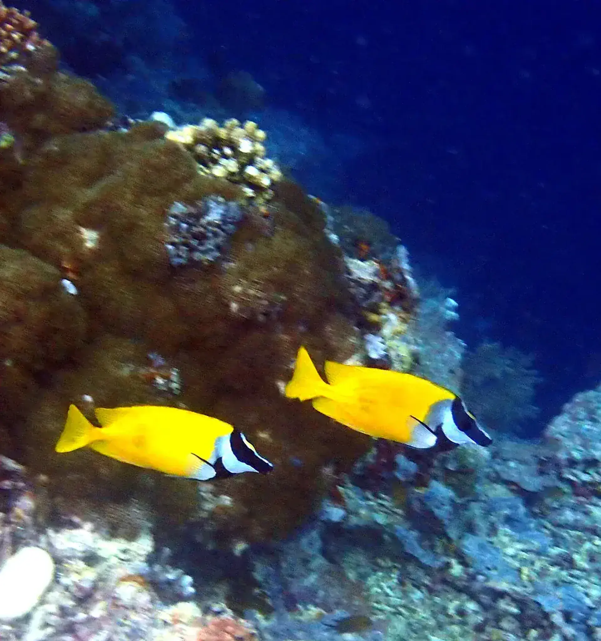Activity photo