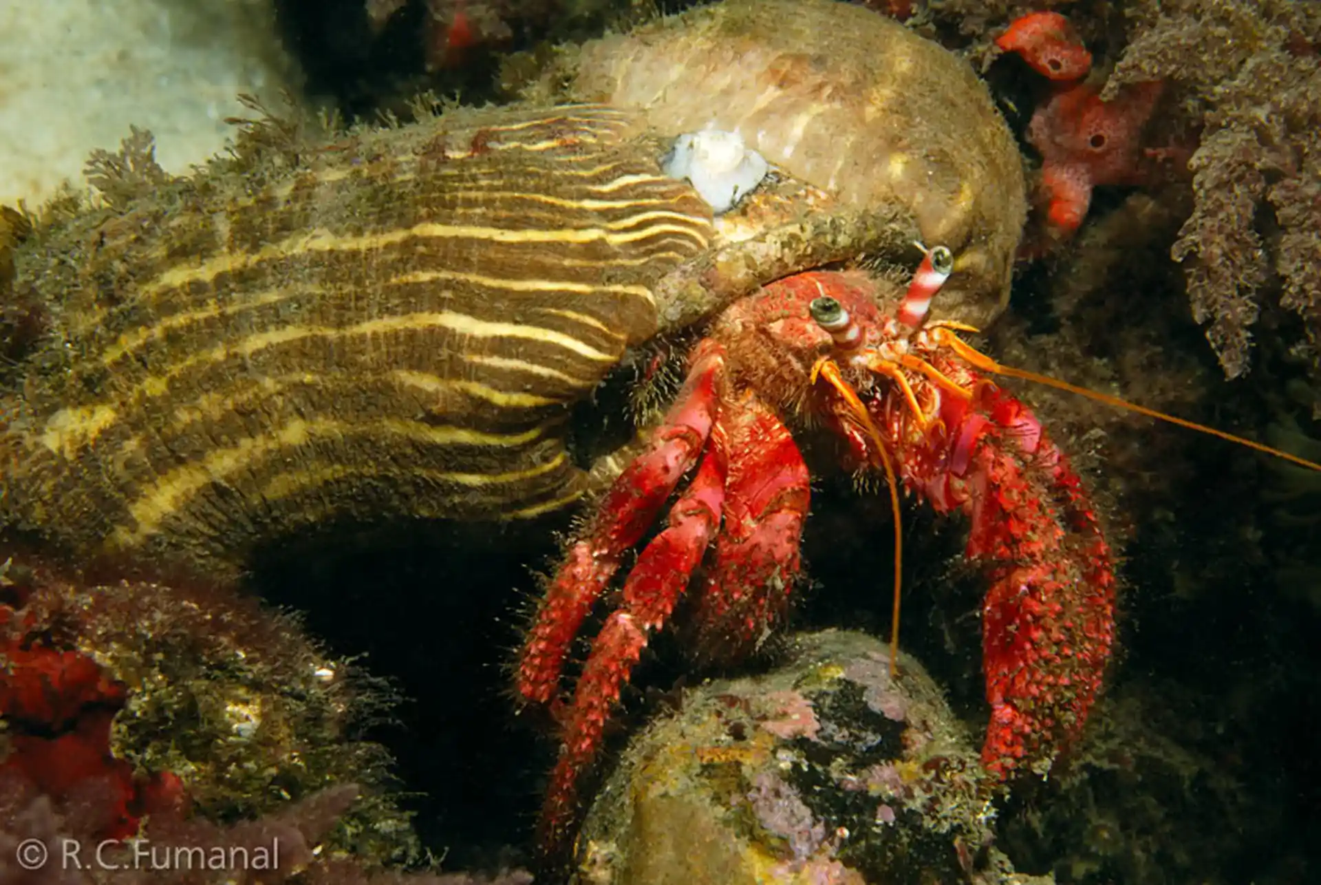 Dive site photo
