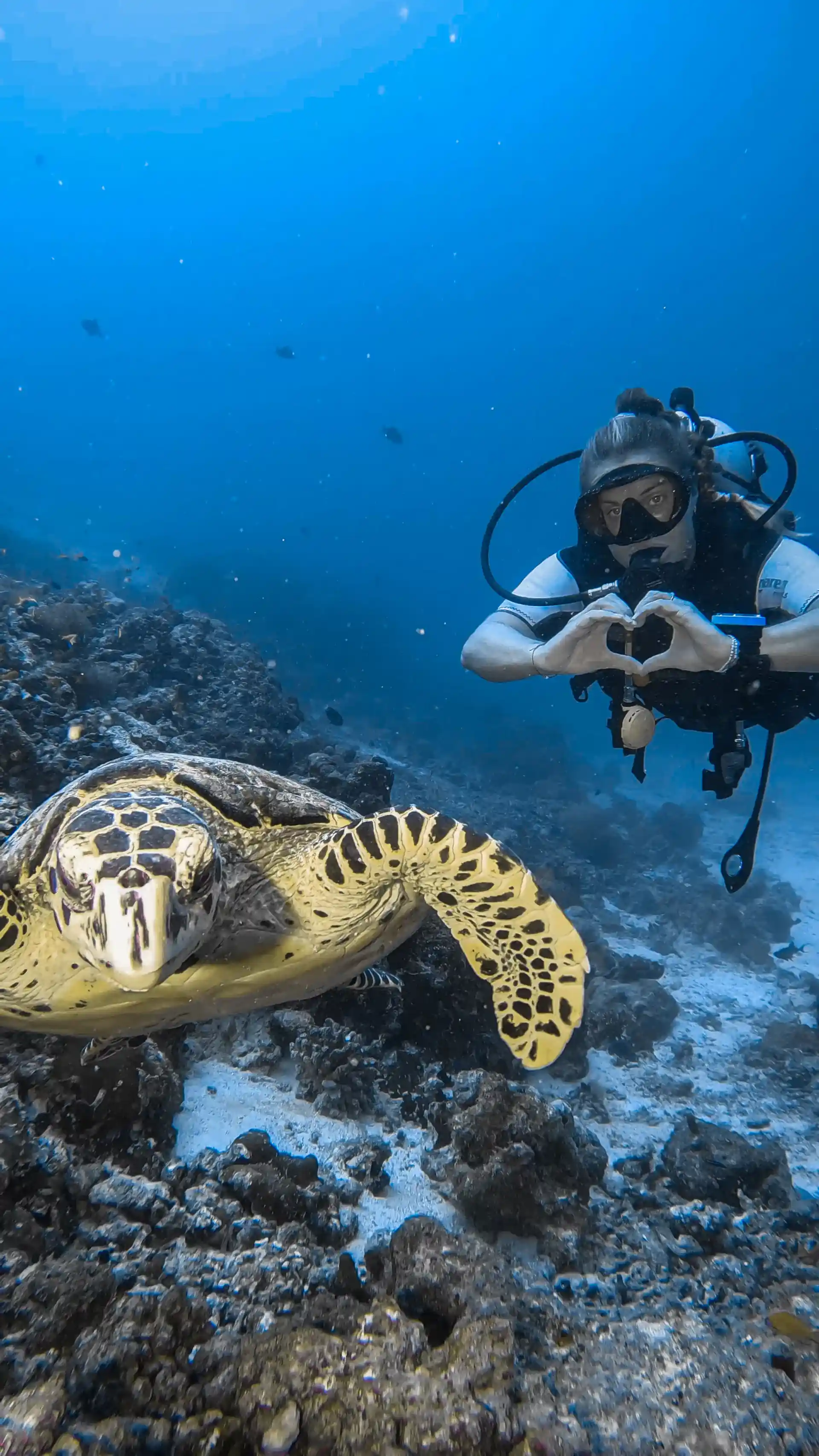 Foto de la tienda de buceo