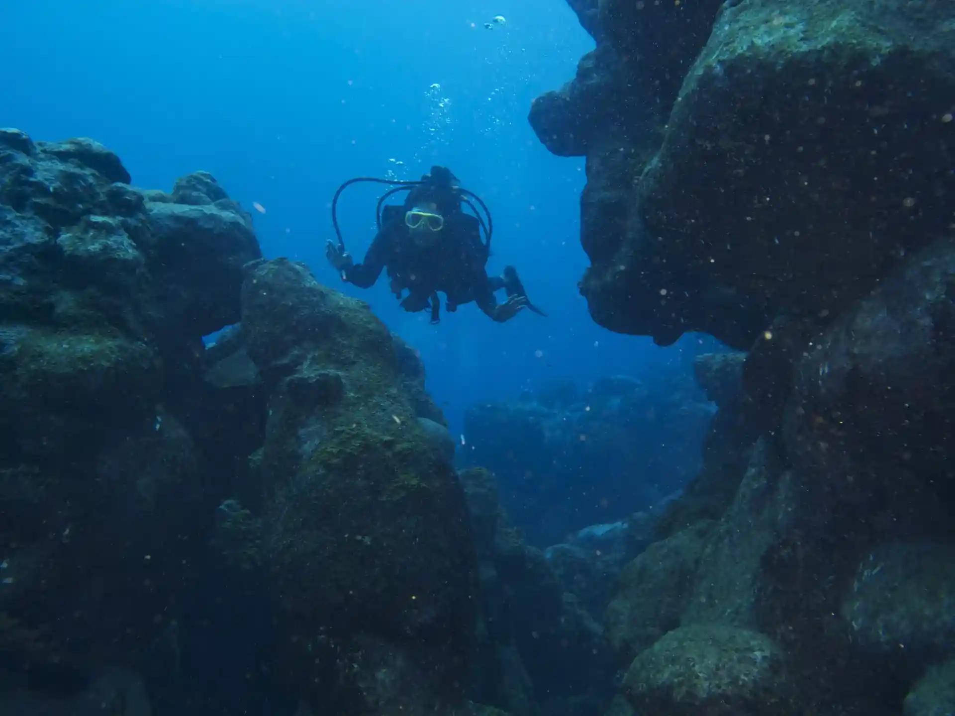 다이빙 포인트 사진