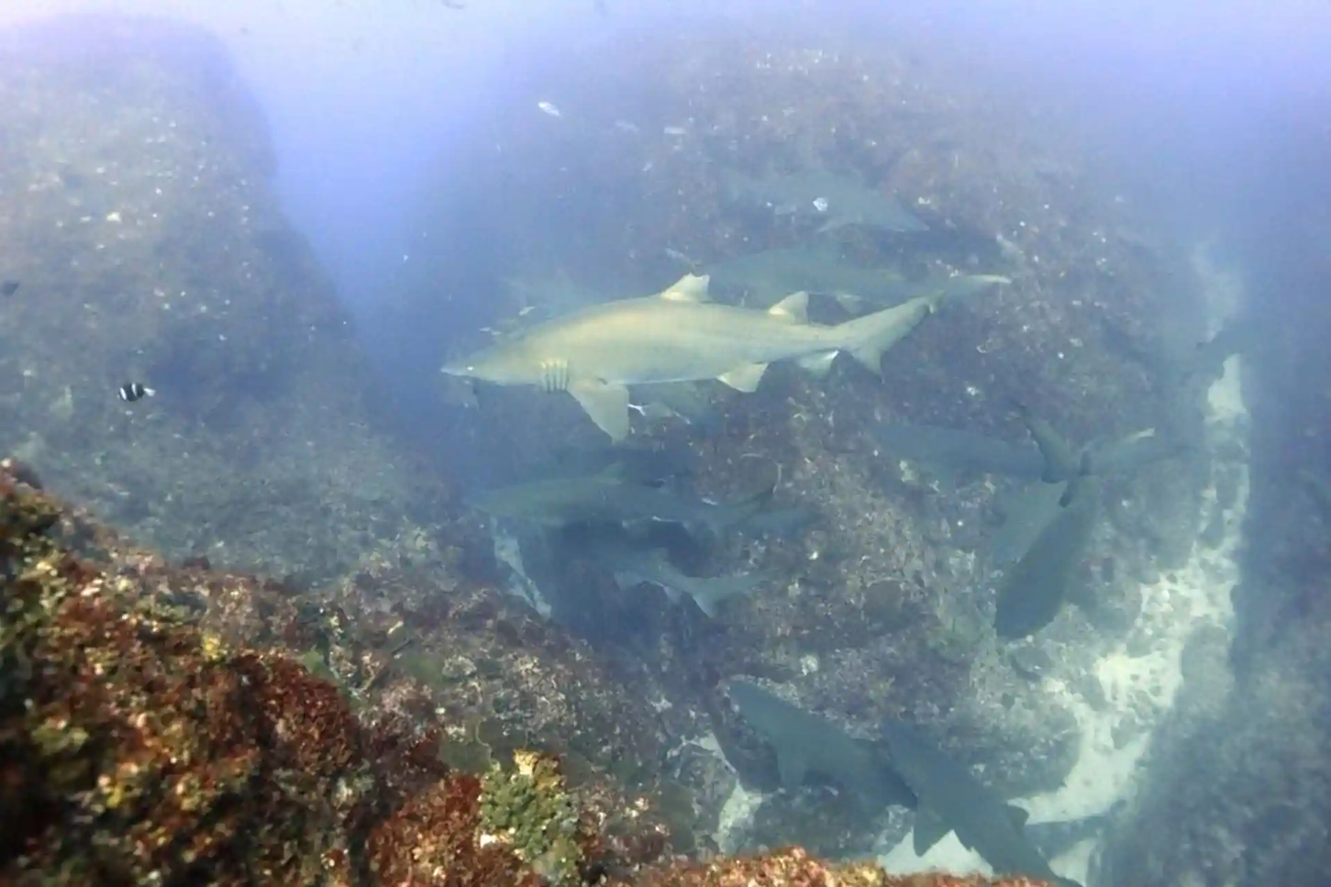 Dive site photo