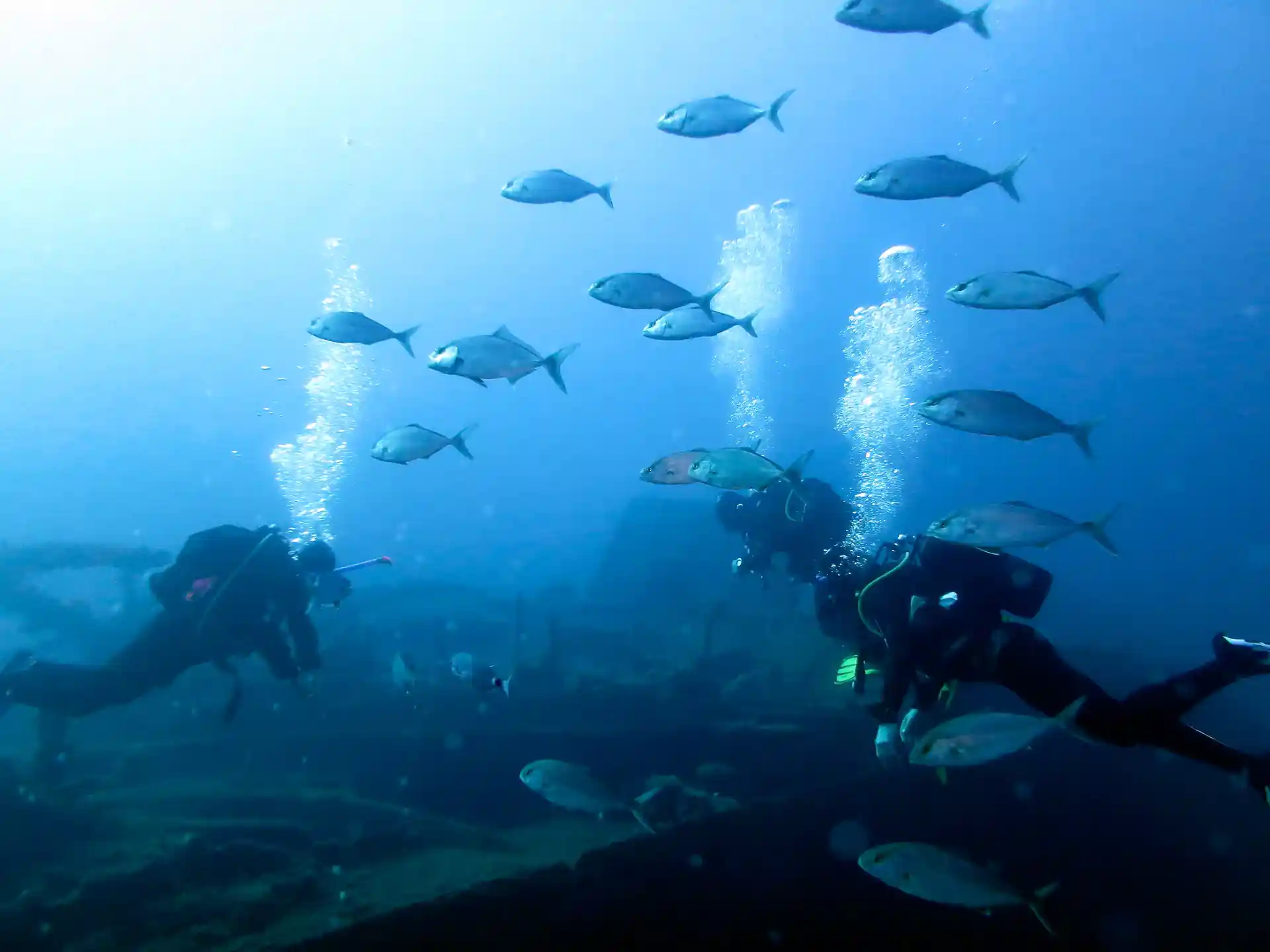 Photo de l'activité