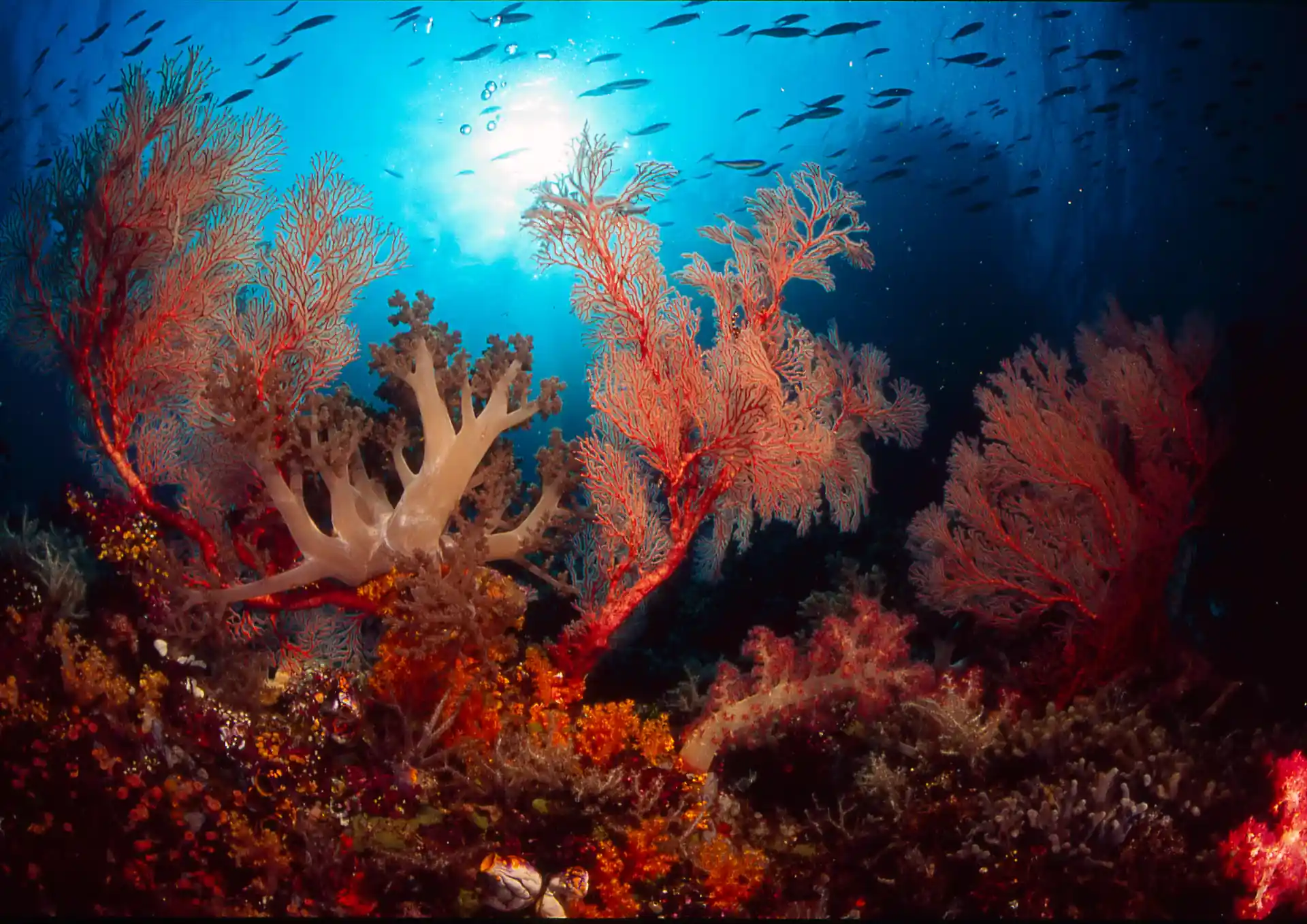 Dive shop photo