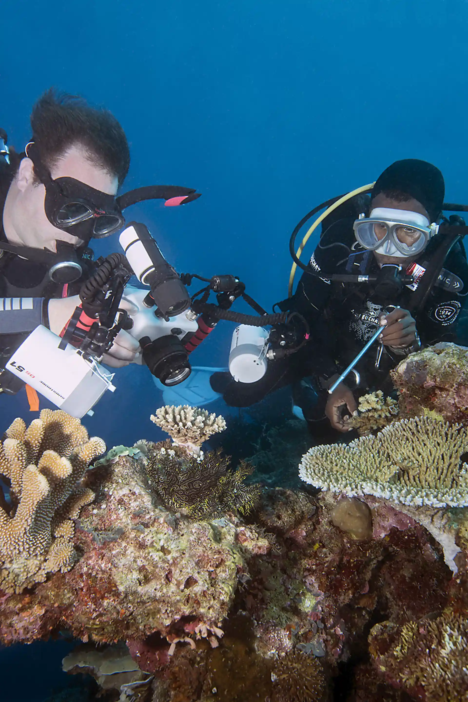 Dive site photo