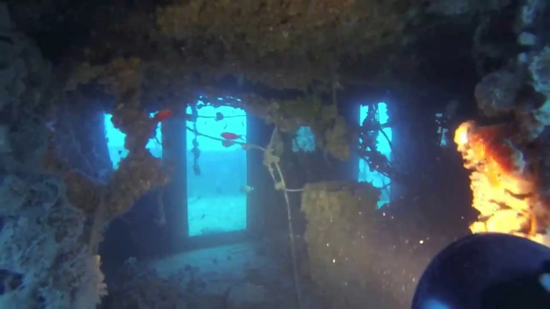 ダイビングサイトの写真