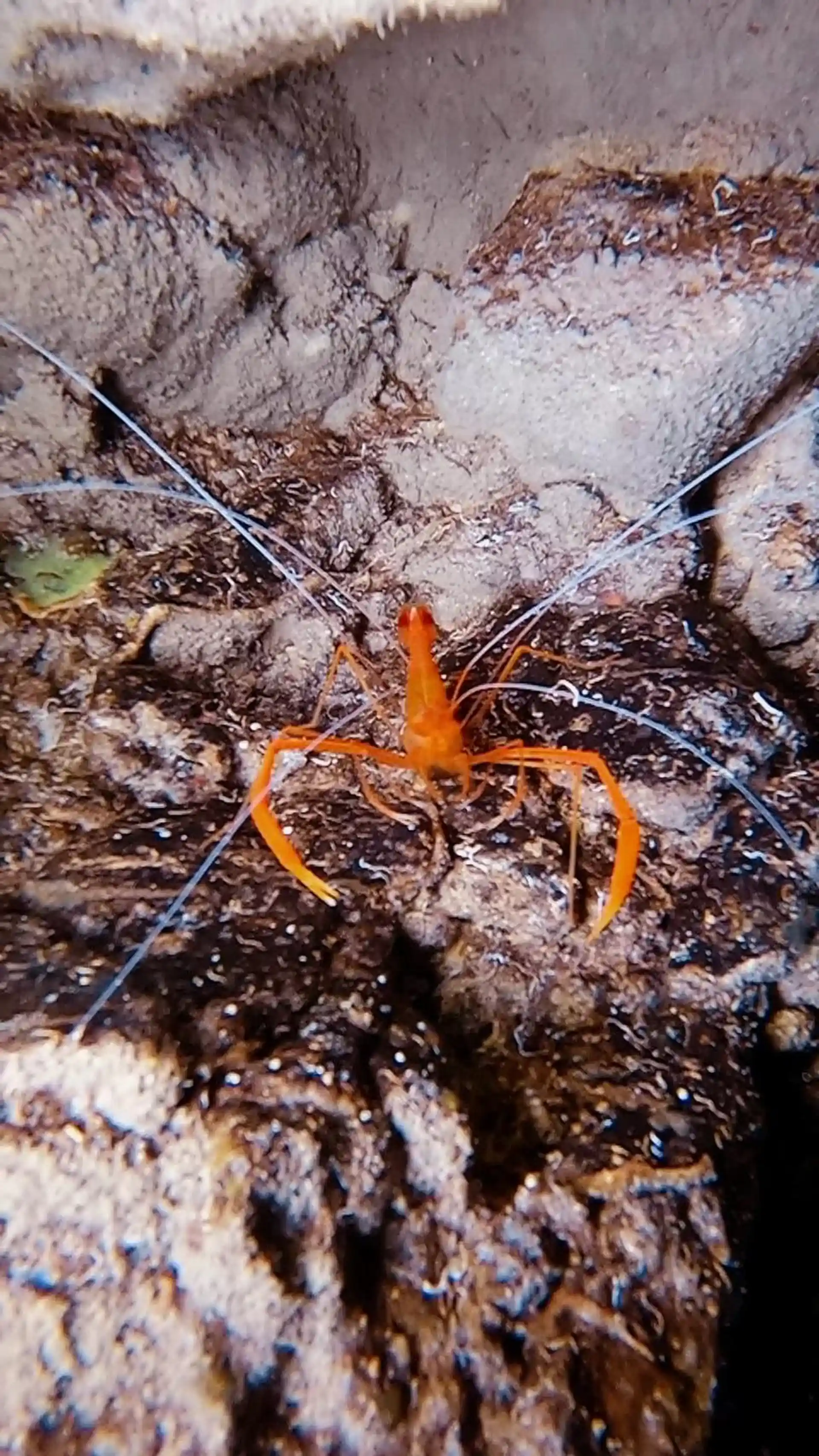 Dive site photo