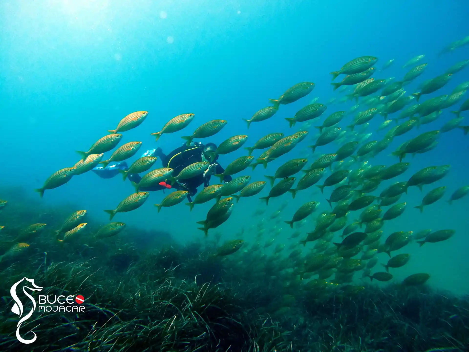 Dive site photo