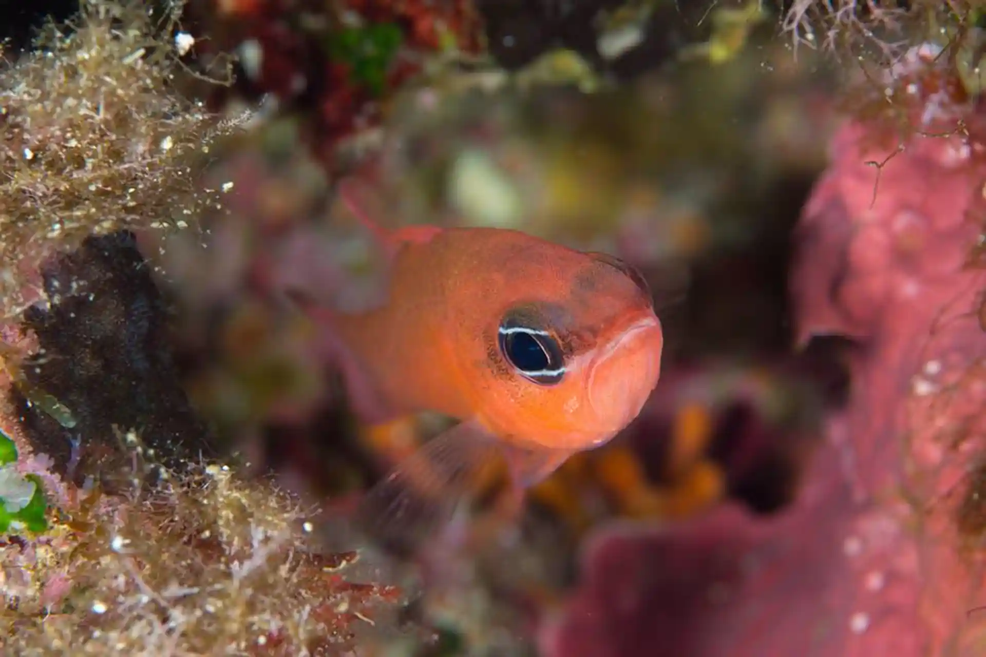 Foto de la actividad