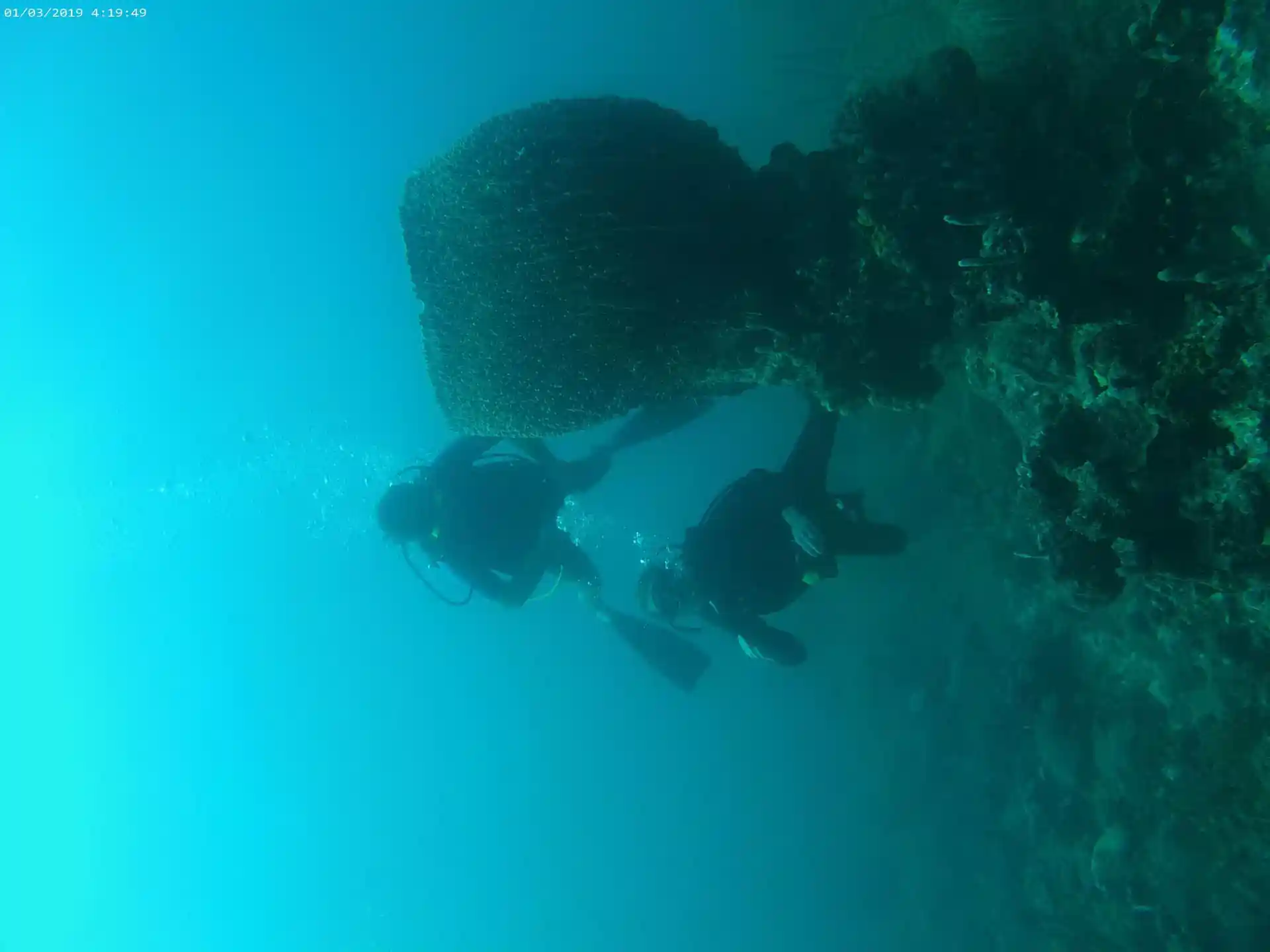 Dive site photo