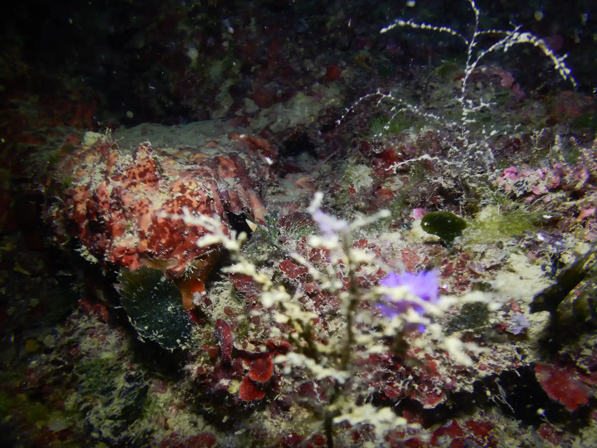 Foto de la actividad