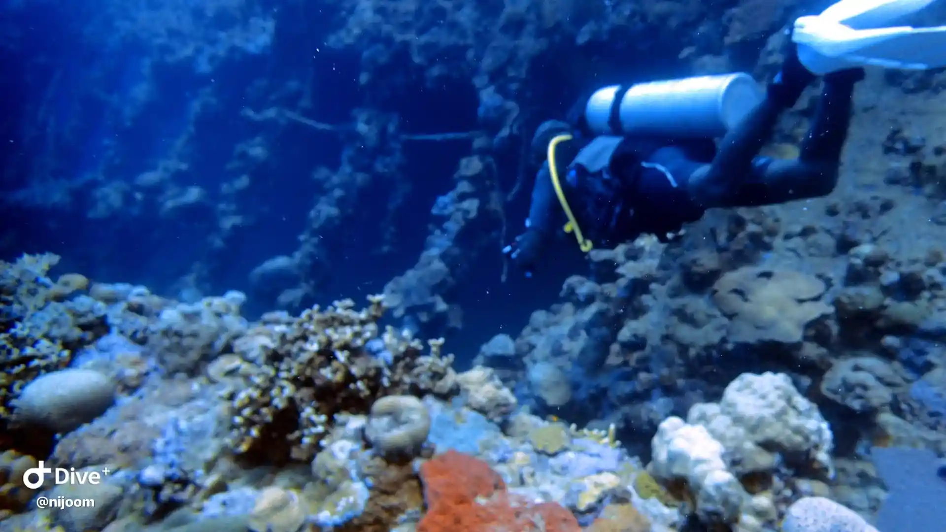 Dive site photo
