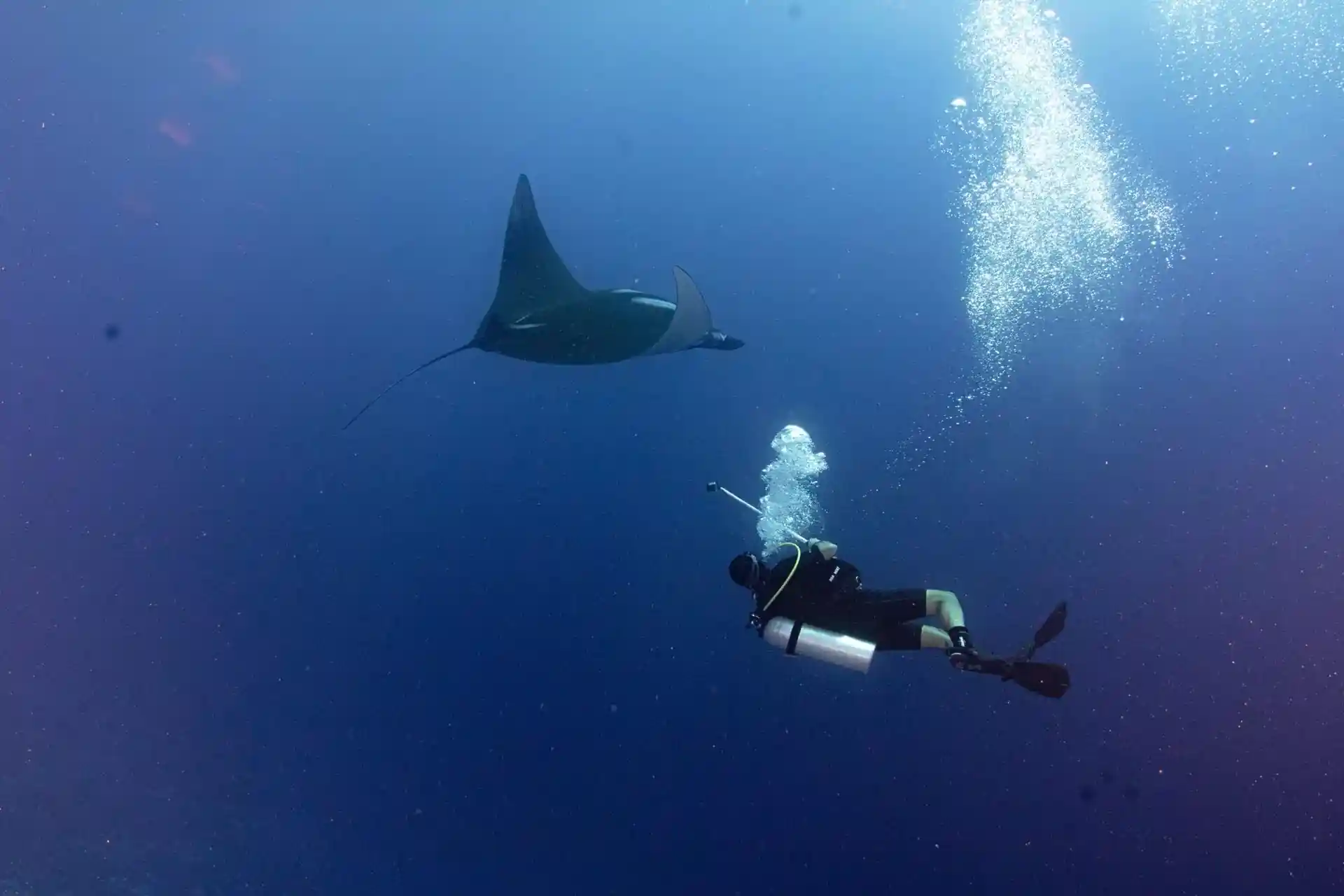 Dive site photo