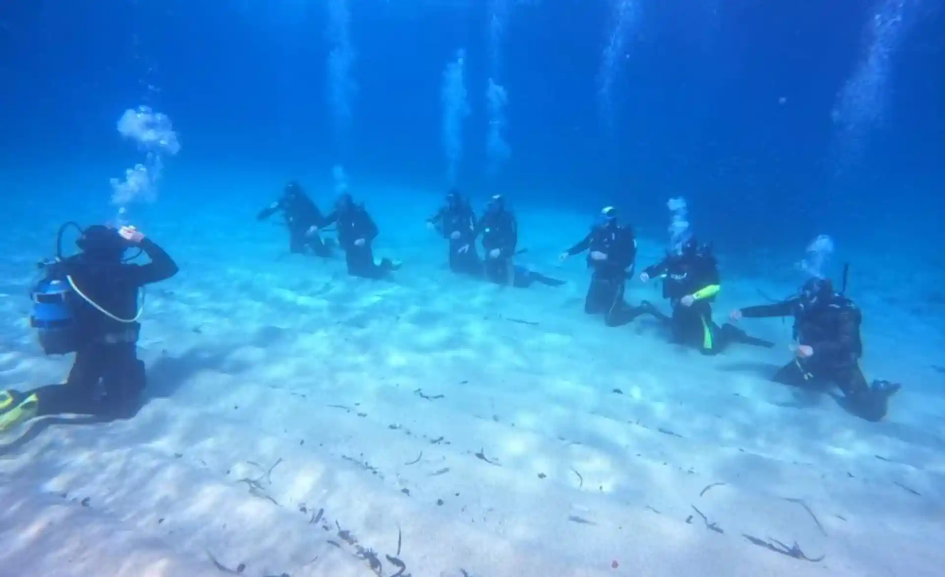 Foto de la actividad