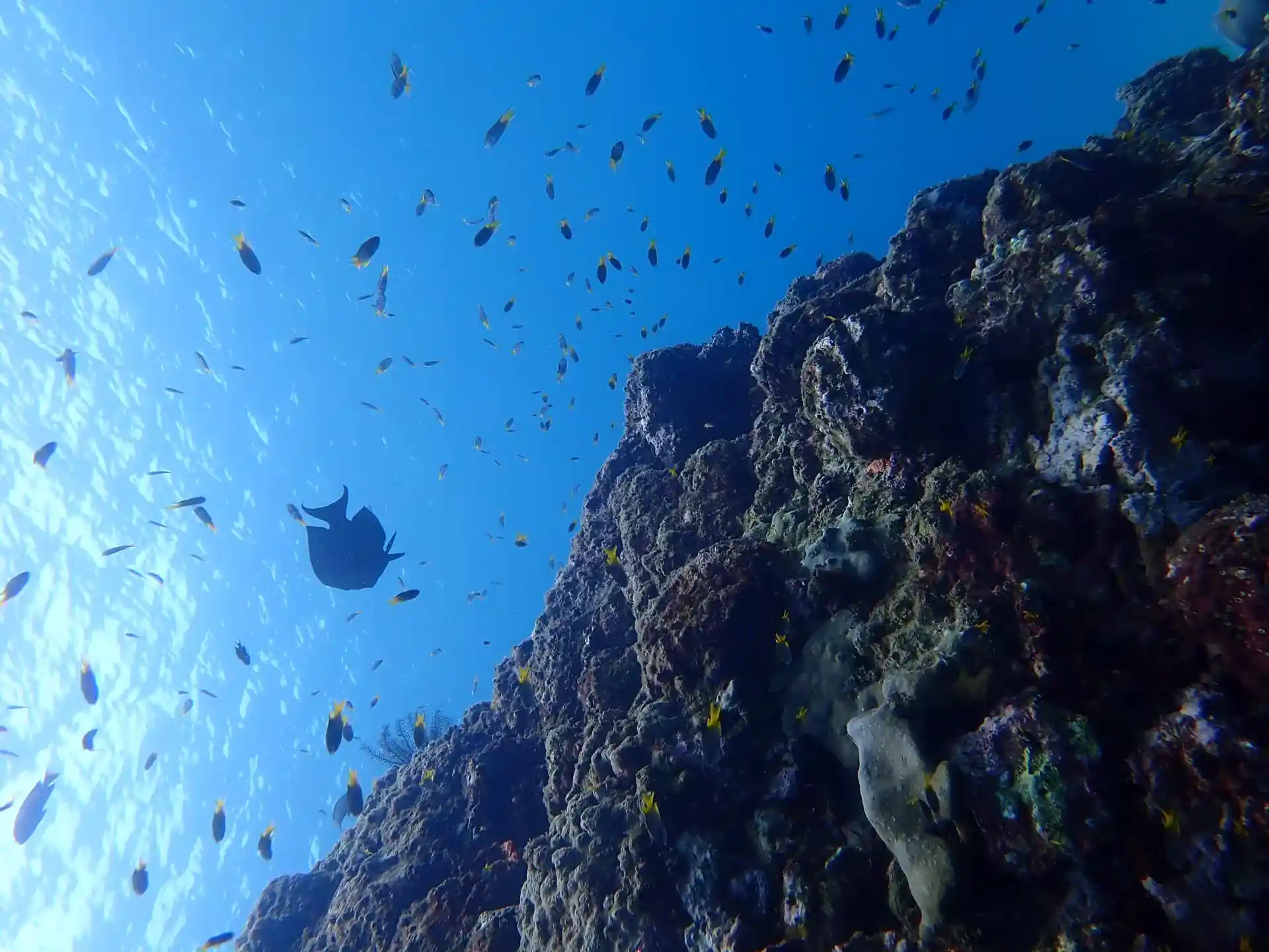 Dive site photo