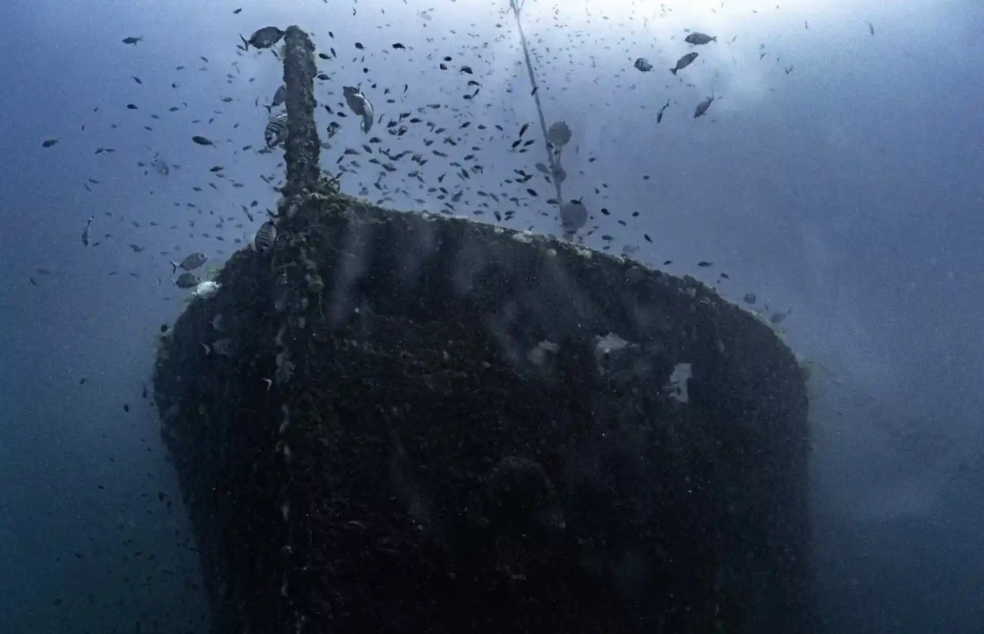 Foto del sitio de buceo