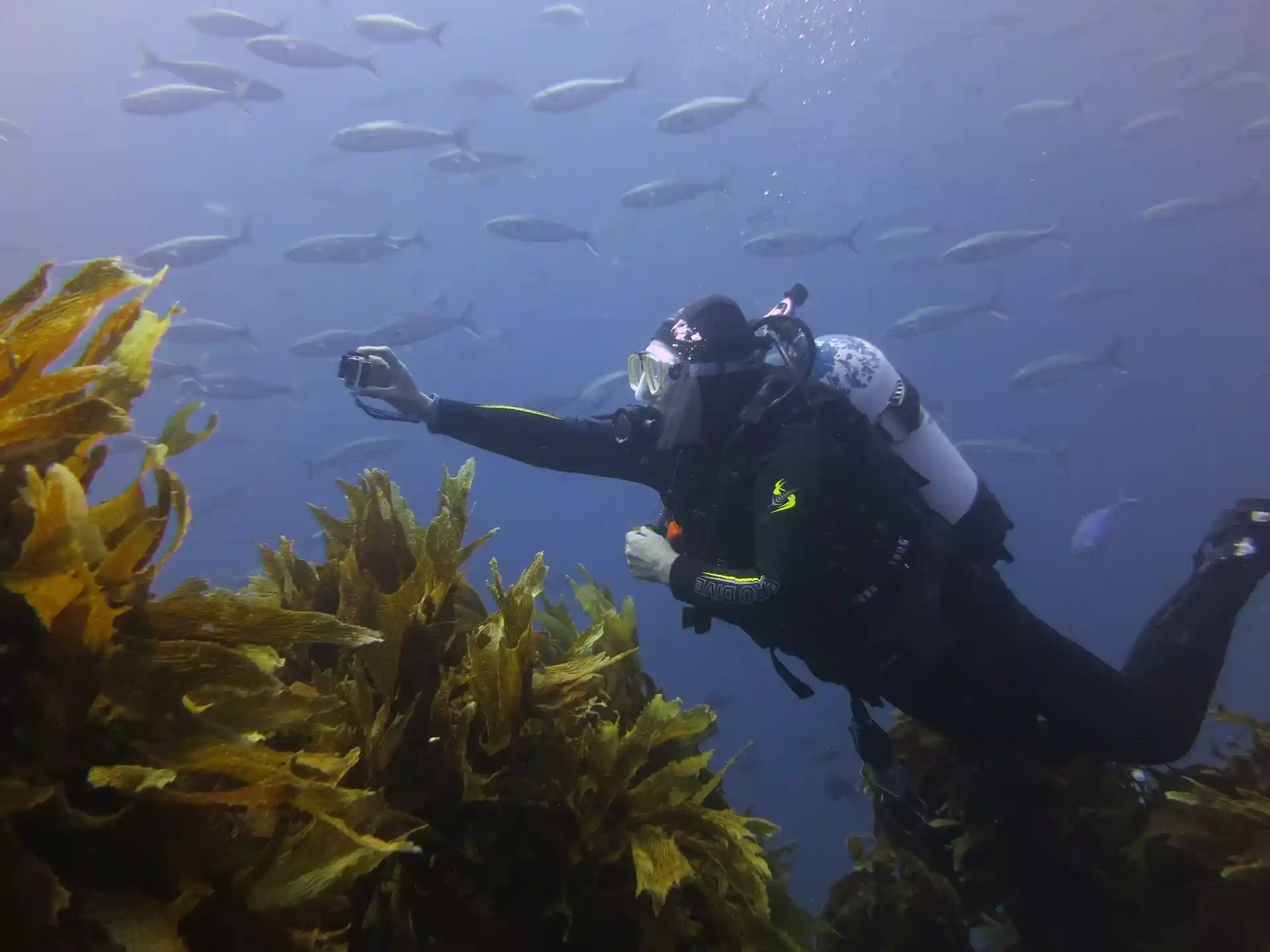 다이빙 포인트 사진