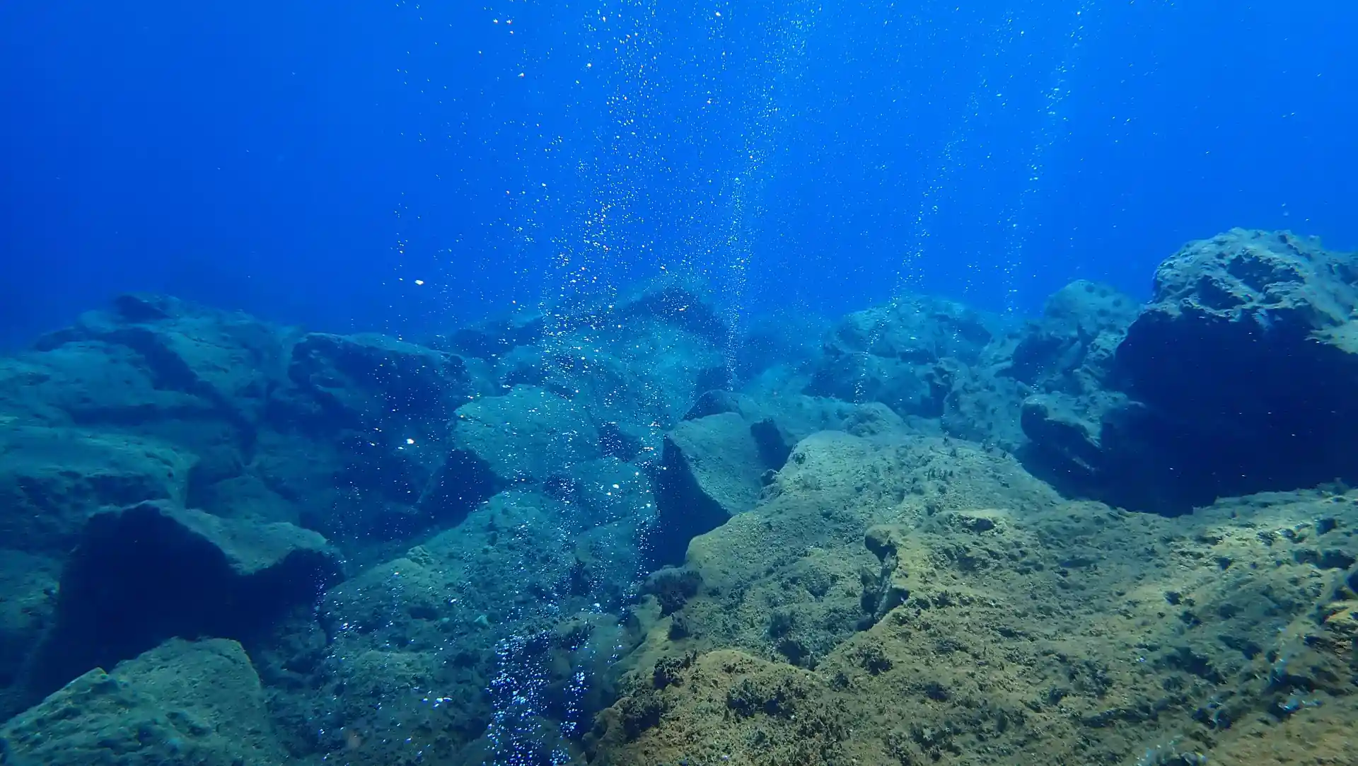 Dive site photo
