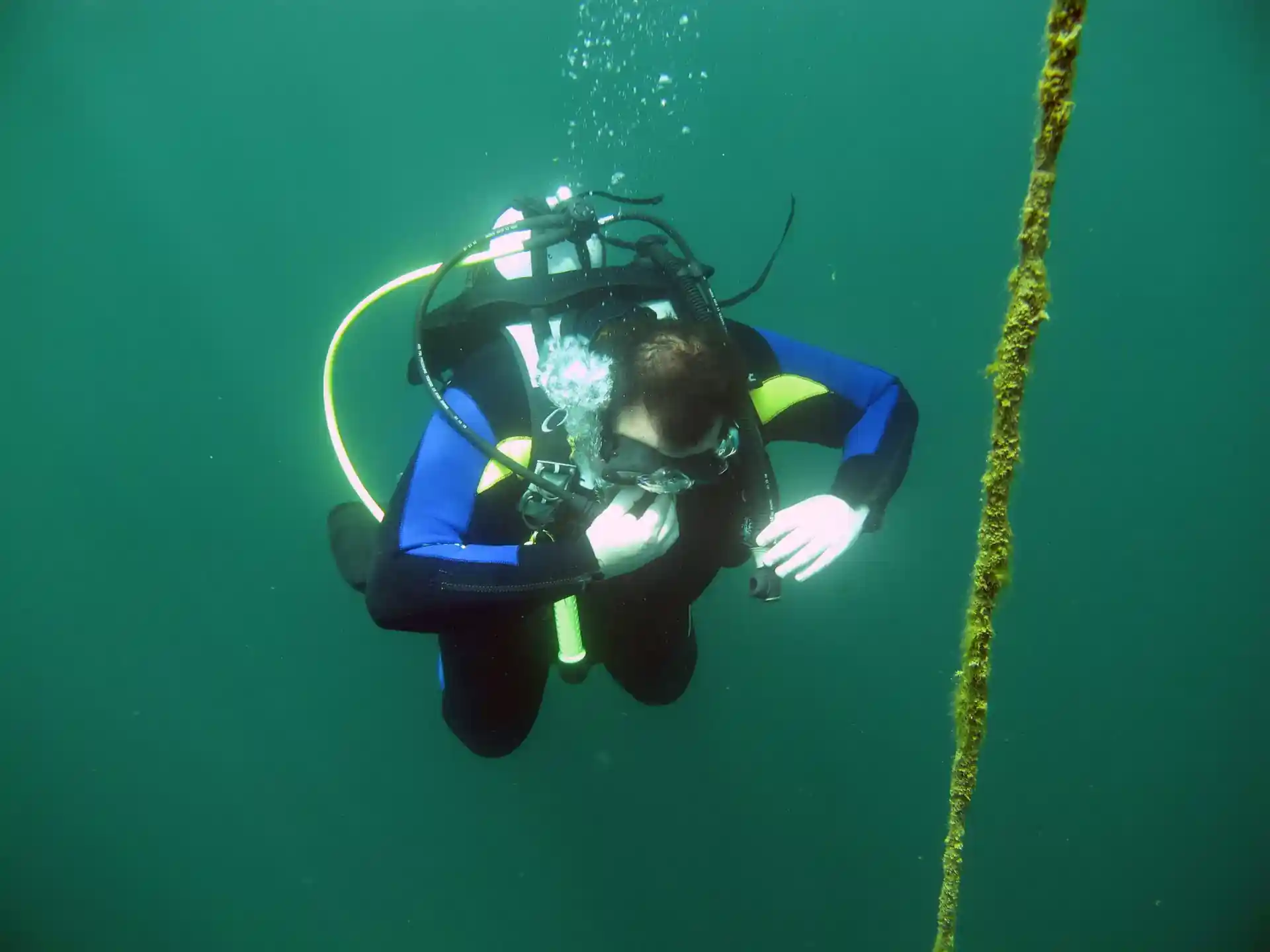 ダイビングサイトの写真