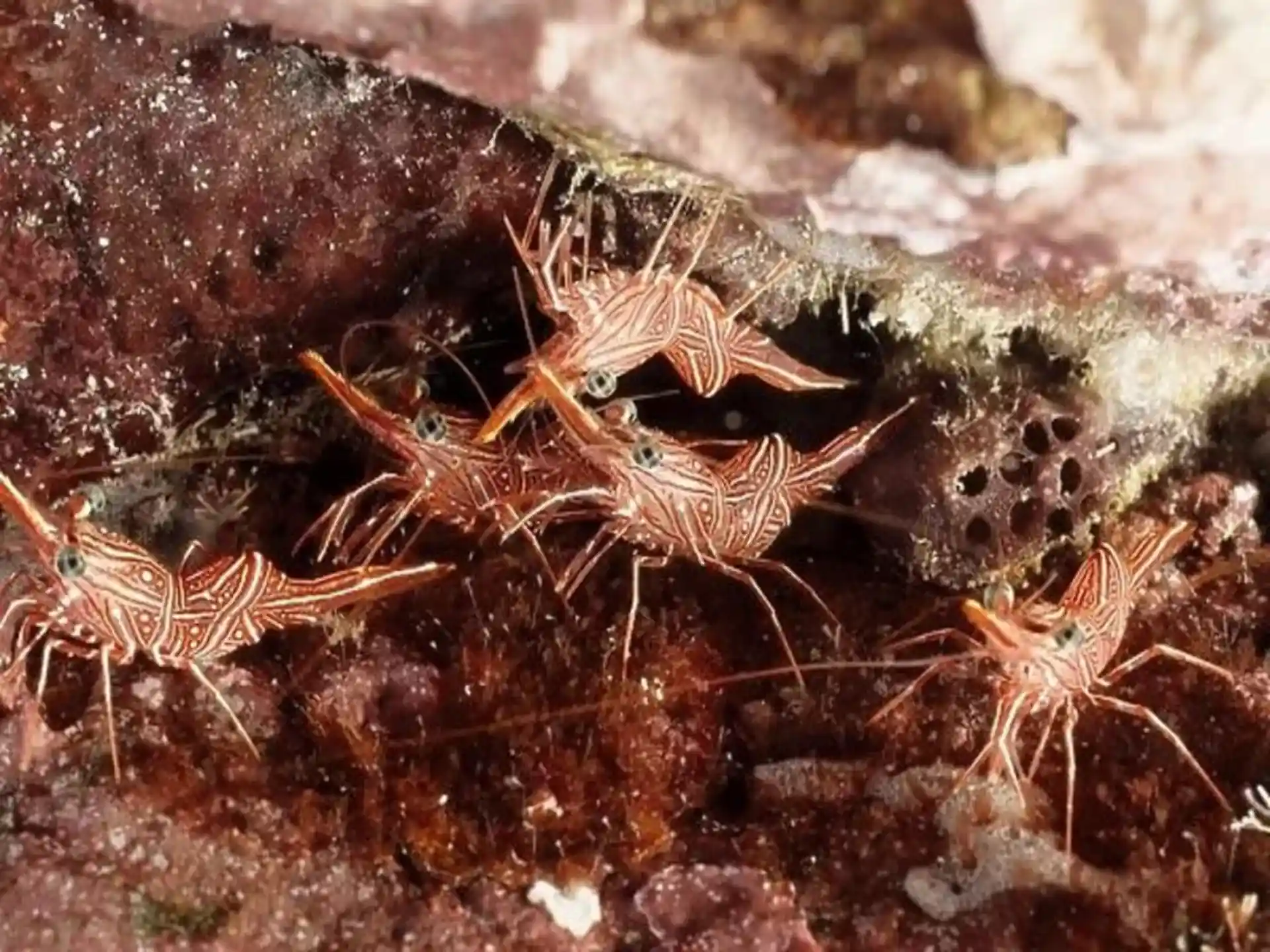 Foto des Tauchplatzes