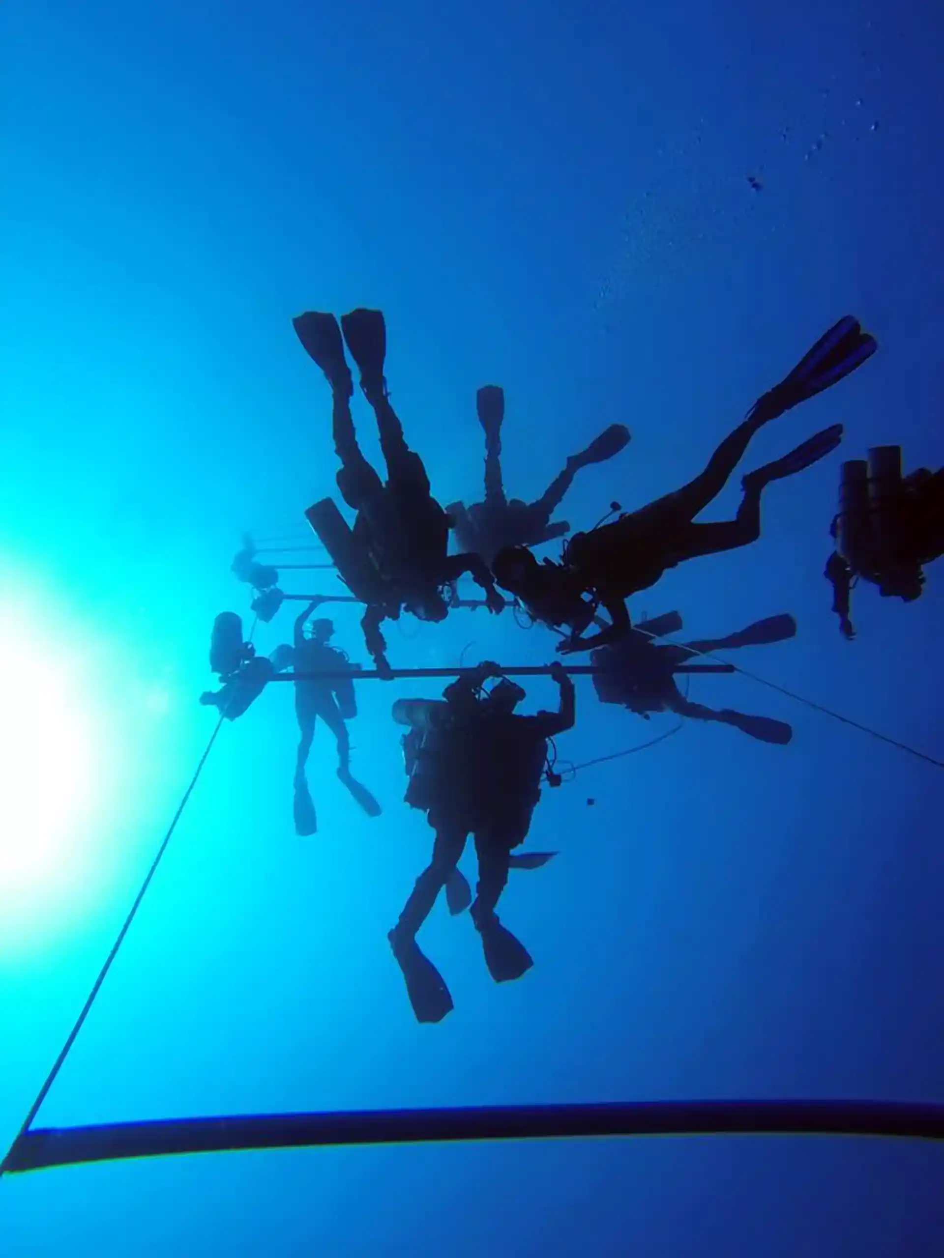 Dive shop photo