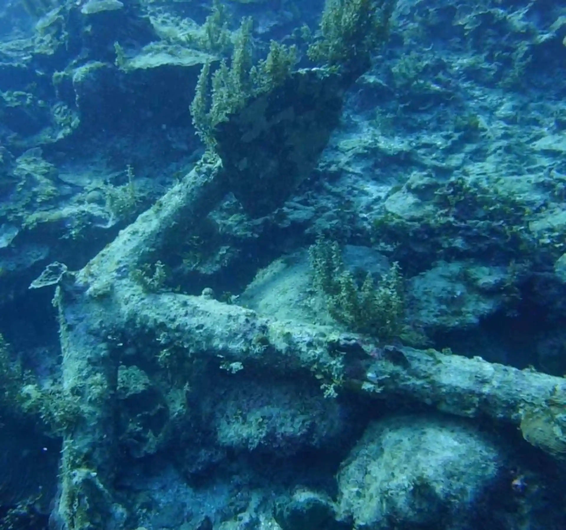 ダイビングサイトの写真