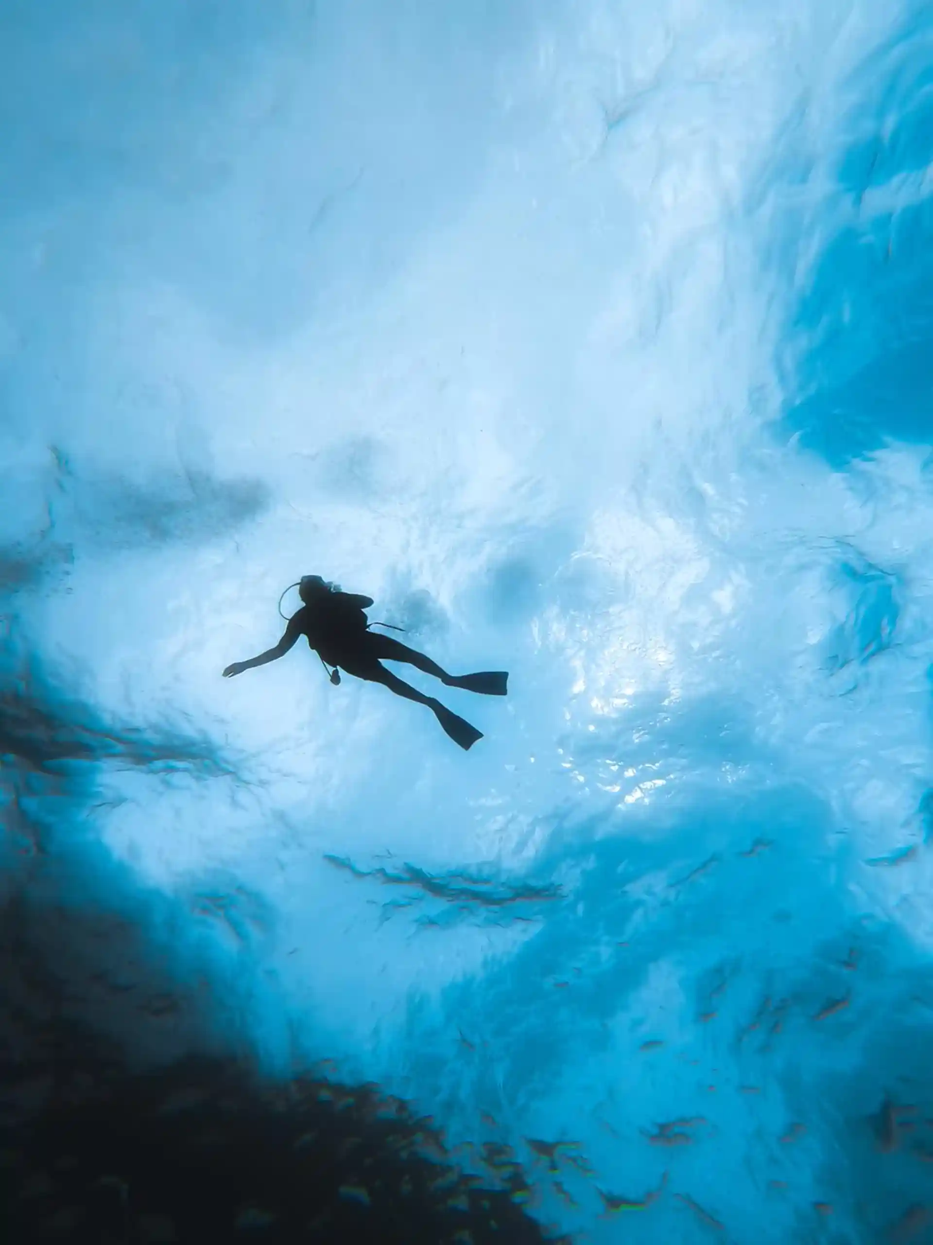 Photo du magasin de plongée