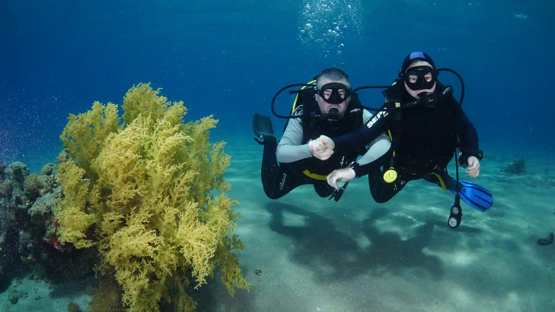 Dive shop photo