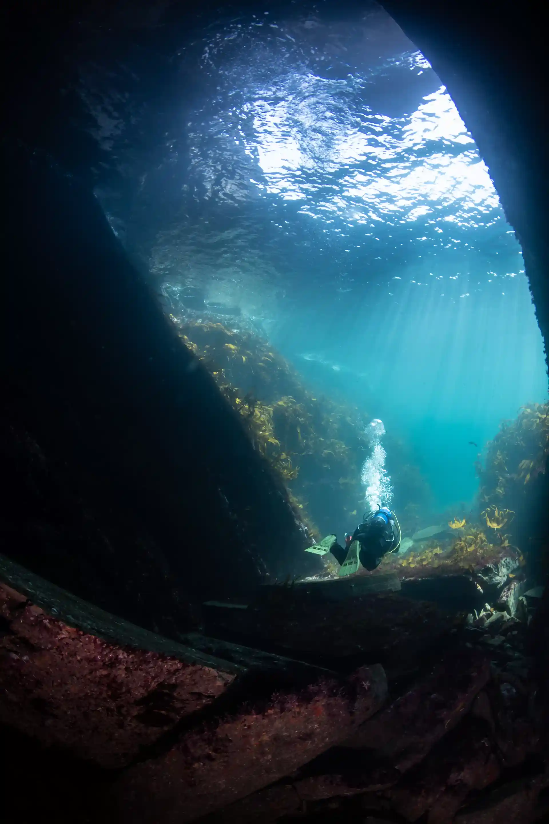 Dive shop photo