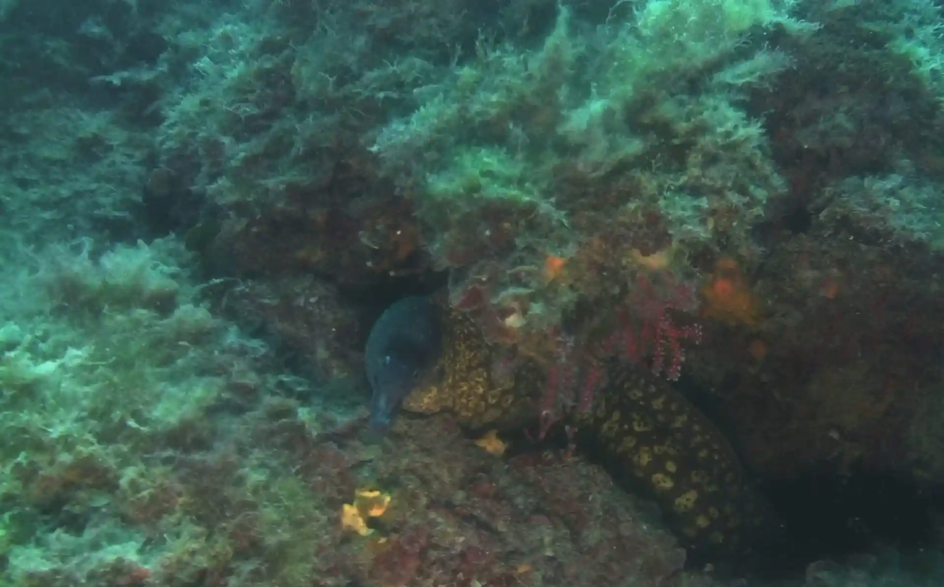 Dive site photo